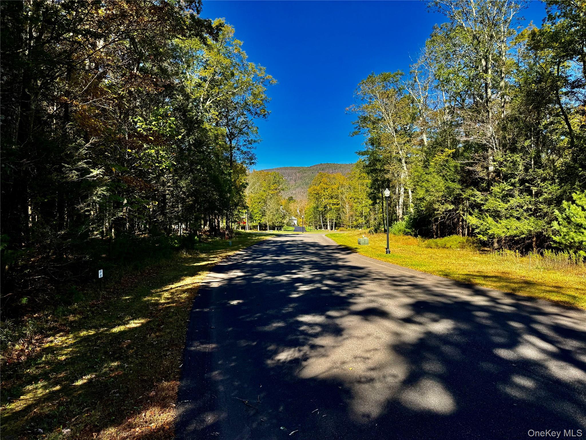 #4 photo, 44-86 Falling Waters Drive, Palenville , NY 12463