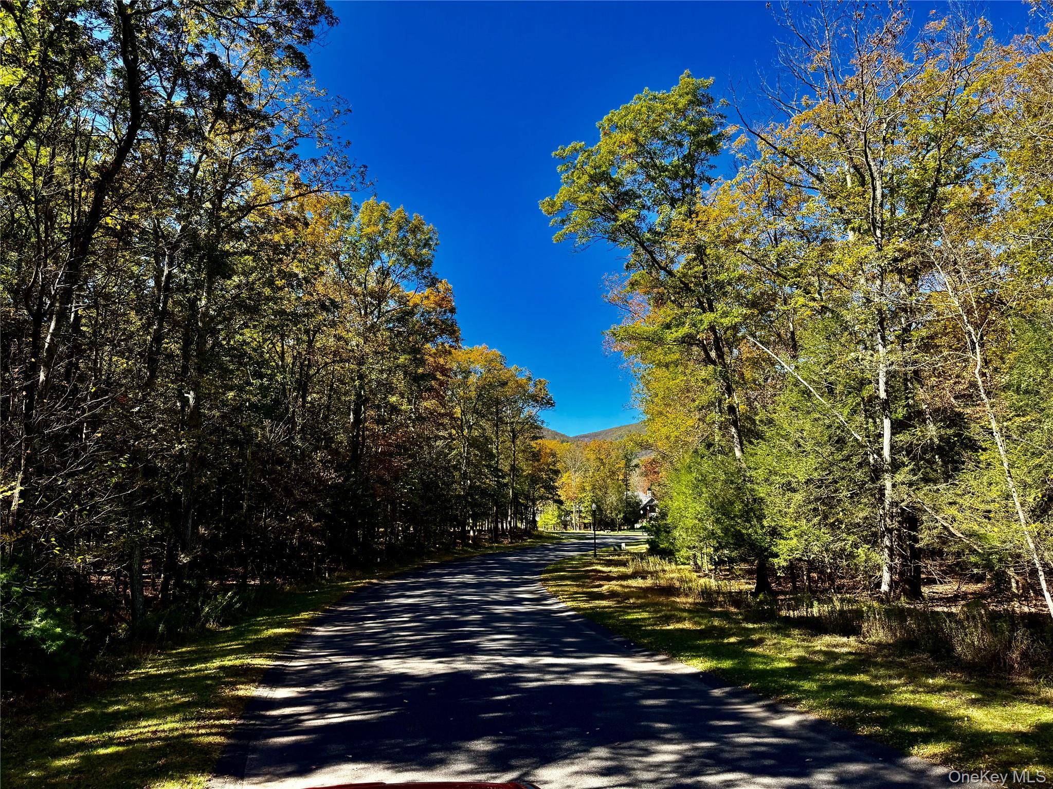 #5 photo, 44-86 Falling Waters Drive, Palenville , NY 12463