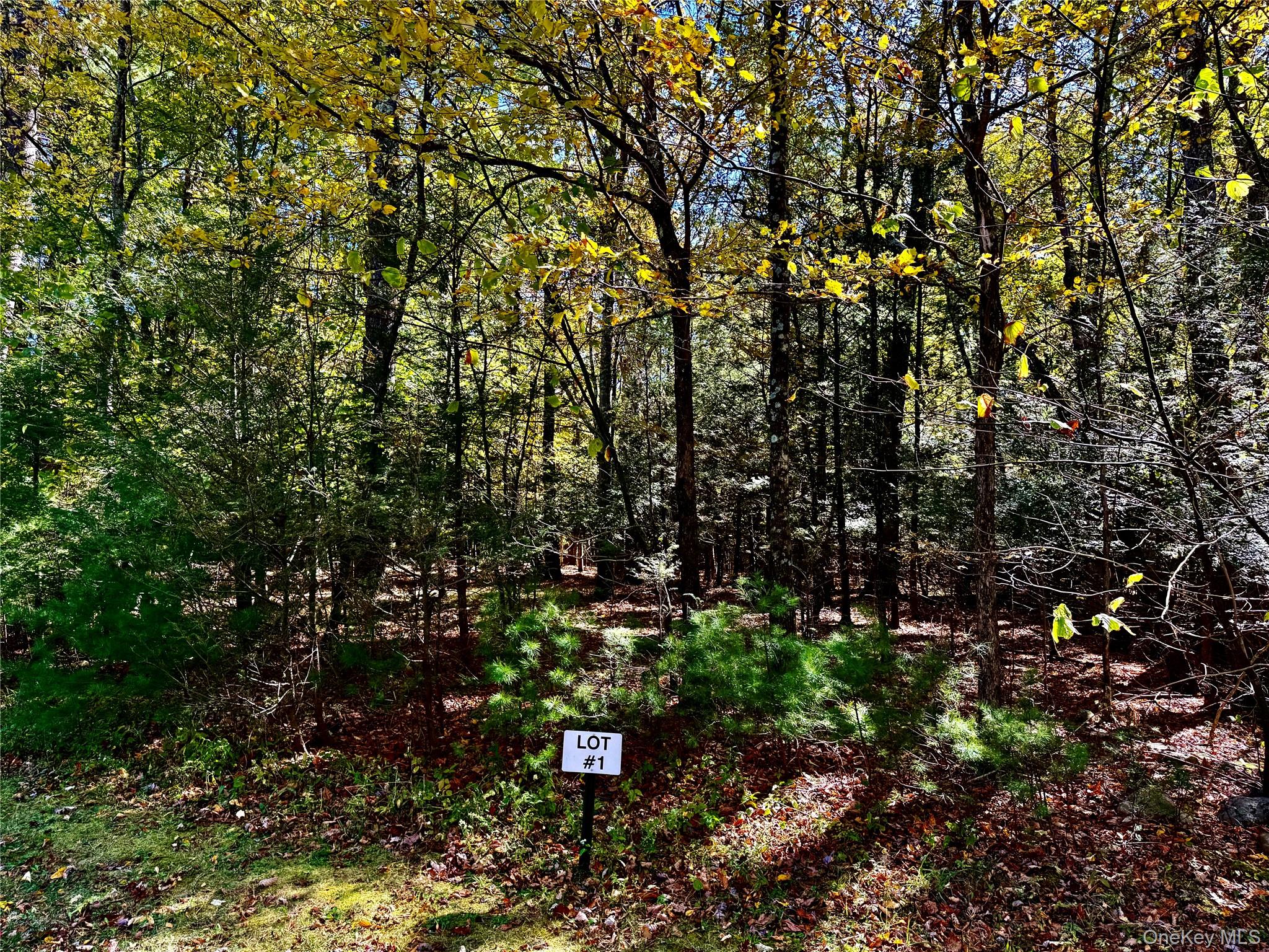 #8 photo, 44-86 Falling Waters Drive, Palenville , NY 12463