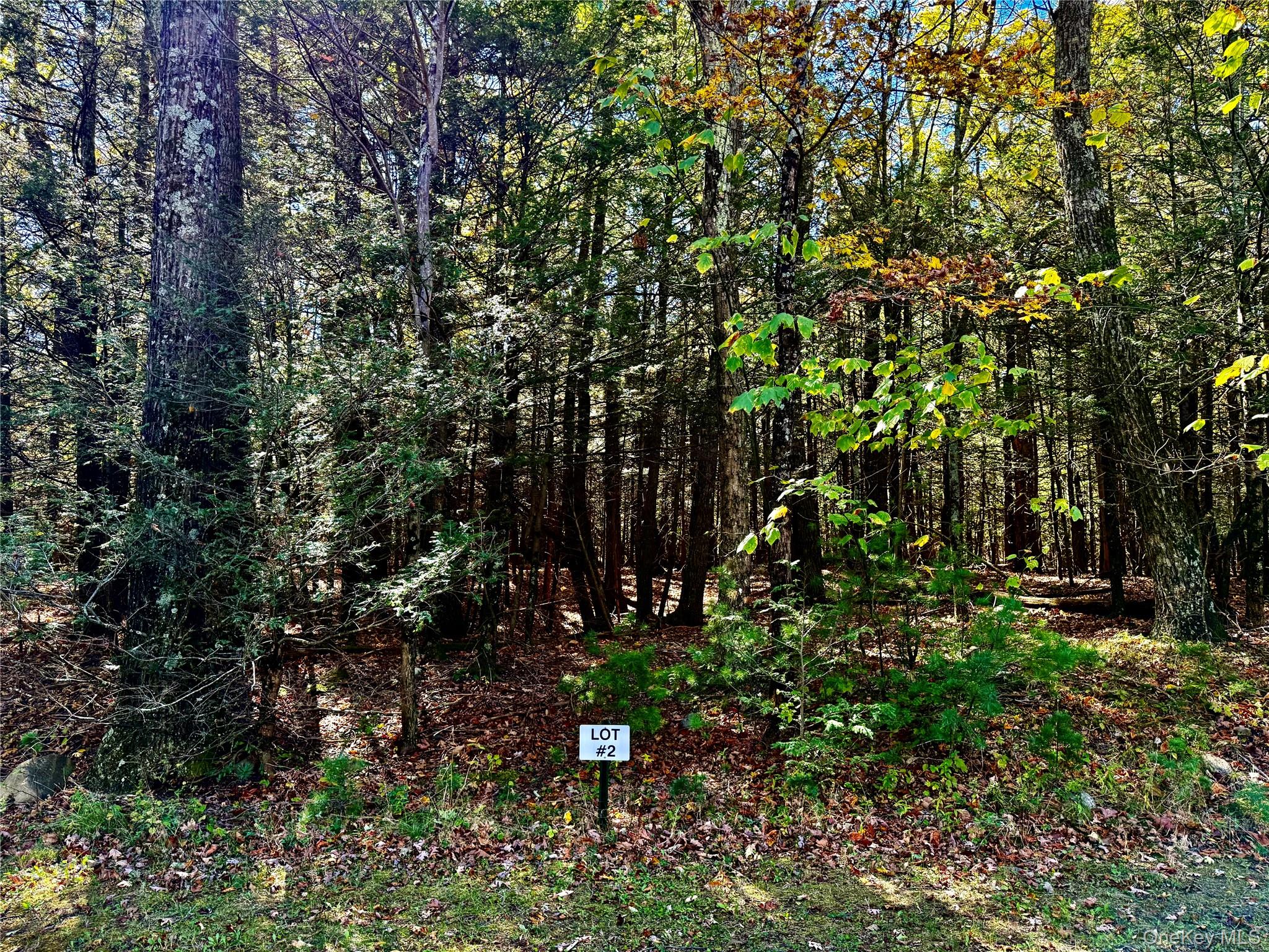 #9 photo, 44-86 Falling Waters Drive, Palenville , NY 12463