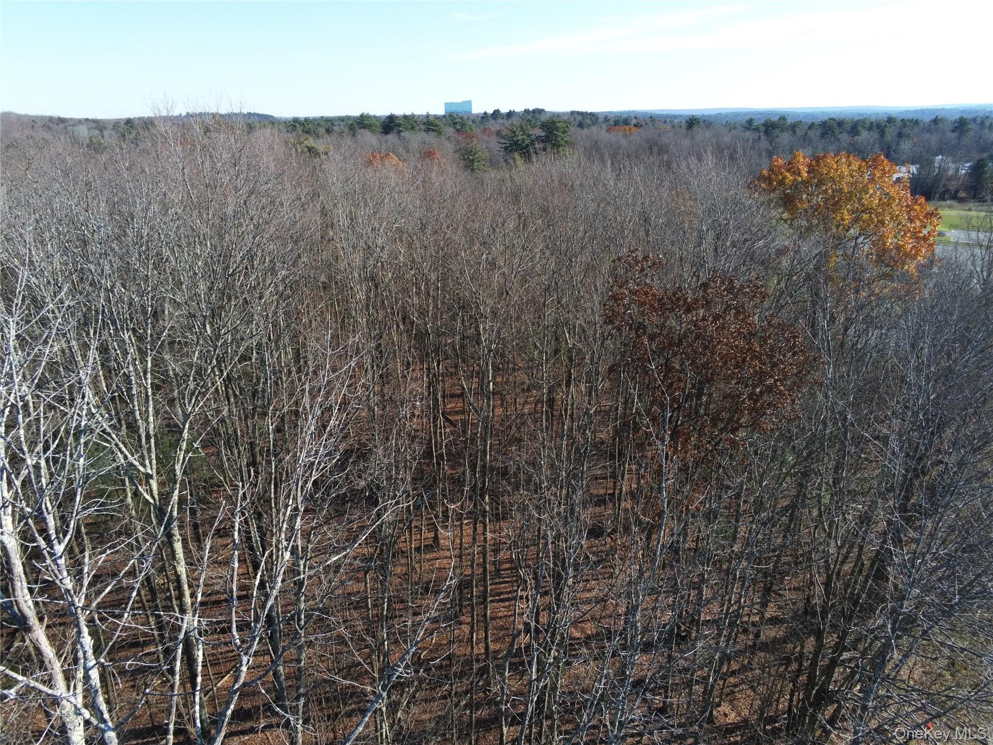 #5 photo, TBT Route 42, Monticello , NY 12701