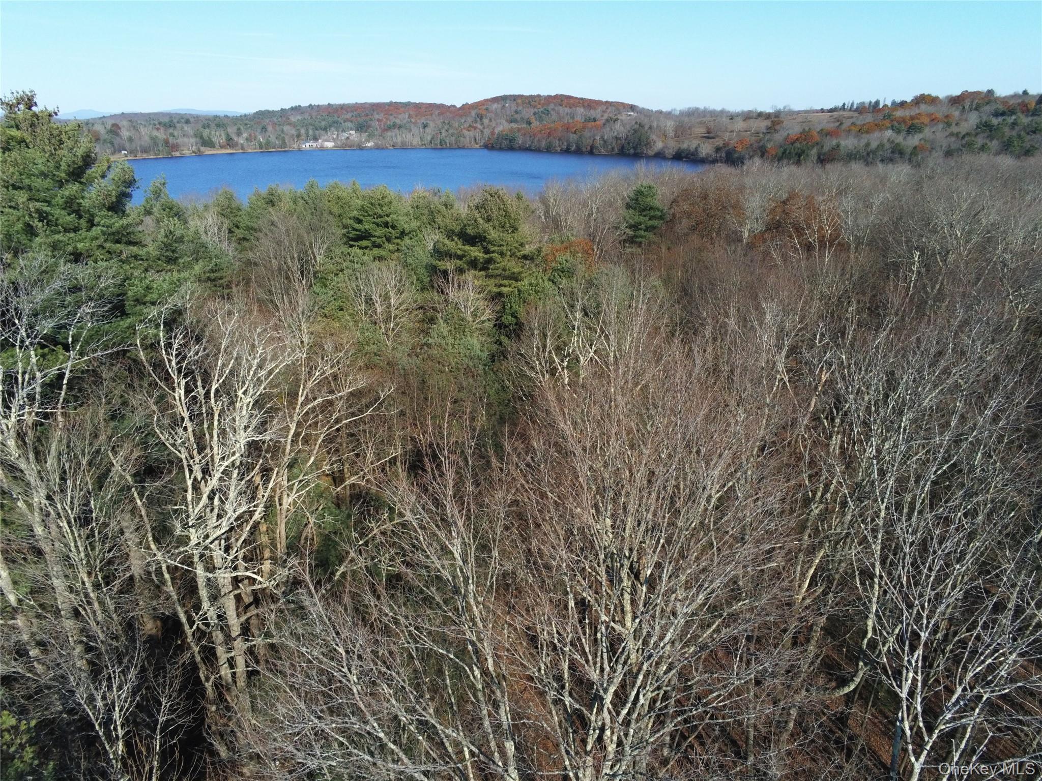 #6 photo, TBT Route 42, Monticello , NY 12701