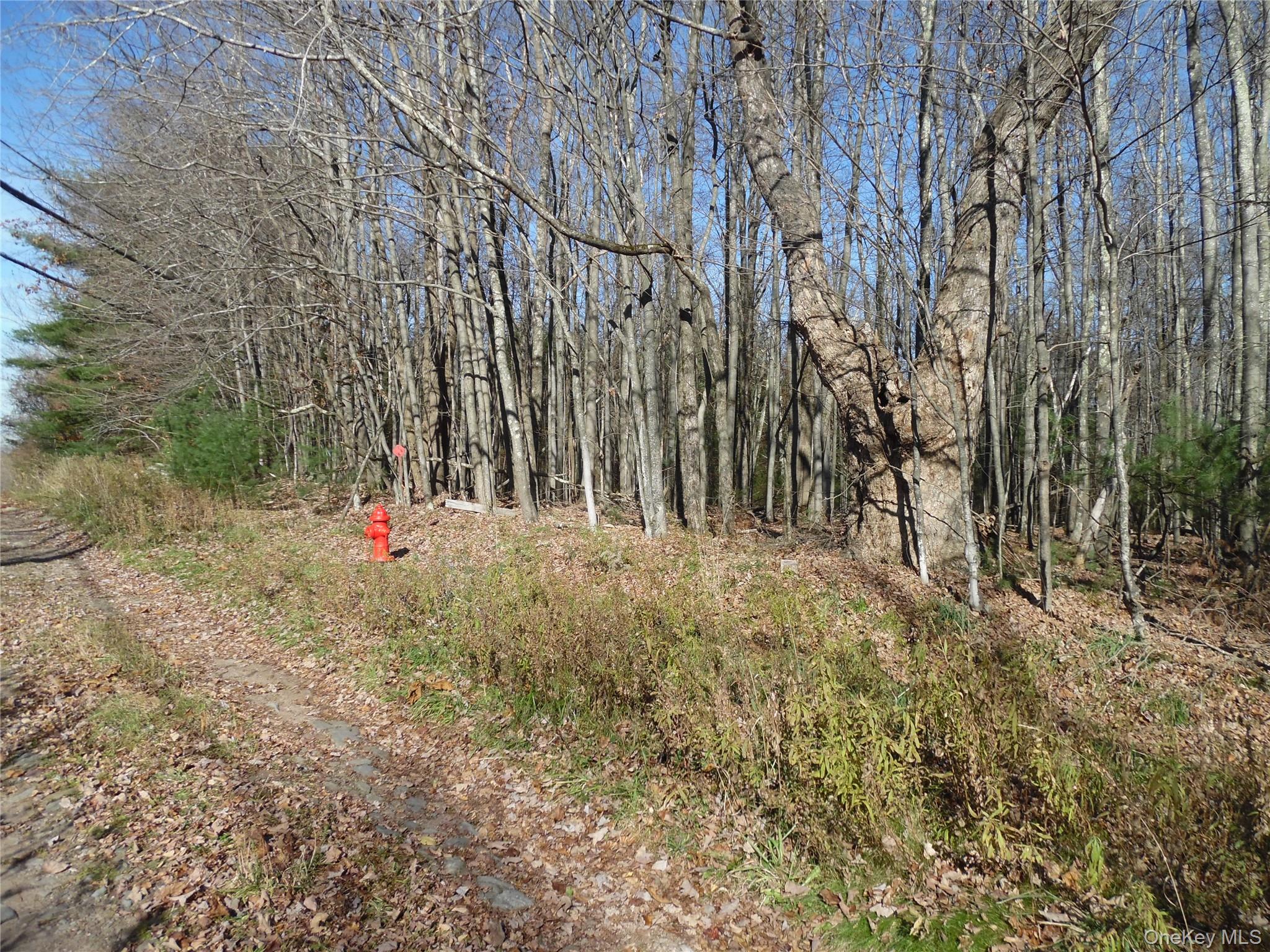 #8 photo, TBT Route 42, Monticello , NY 12701