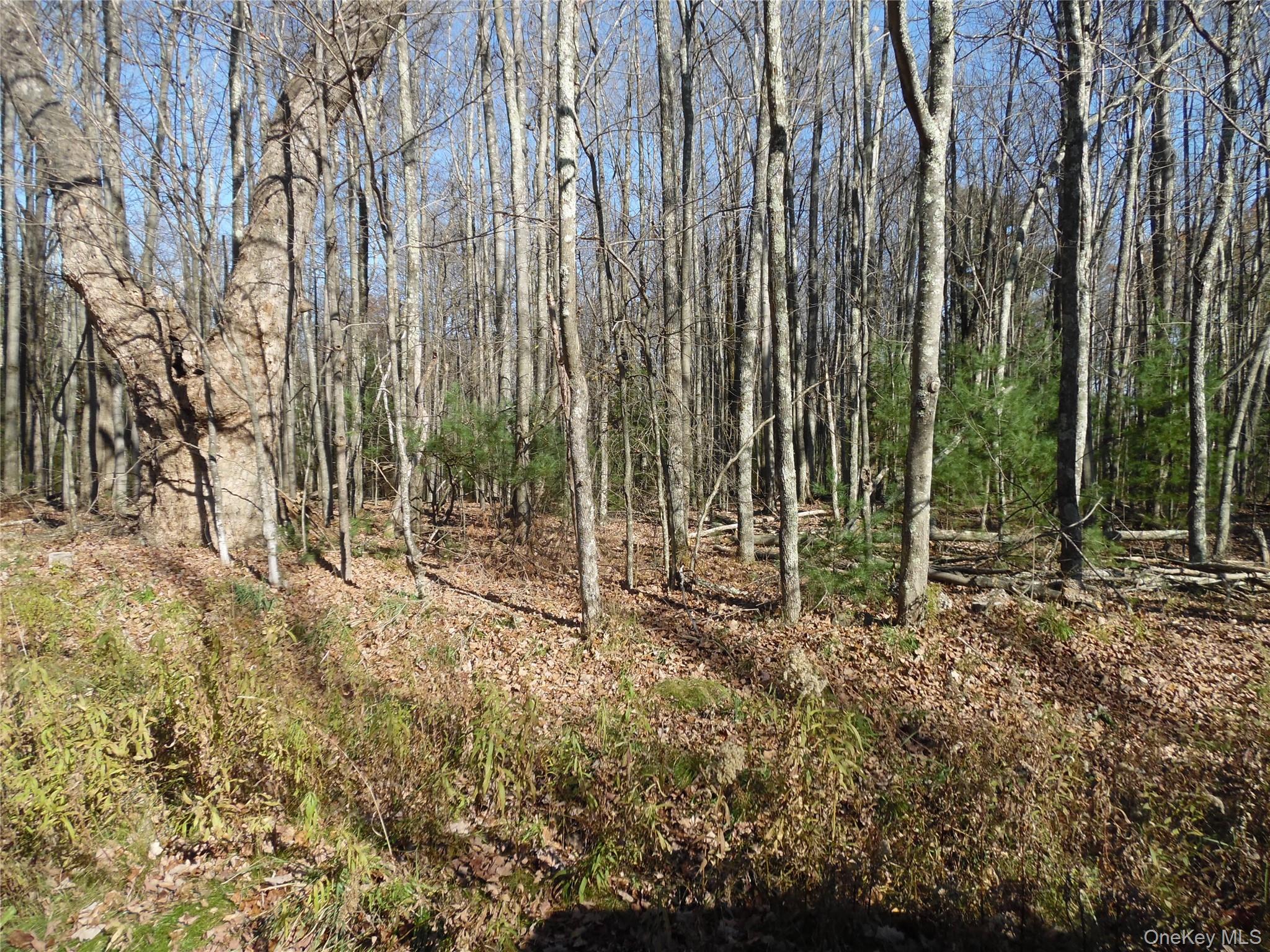 #9 photo, TBT Route 42, Monticello , NY 12701