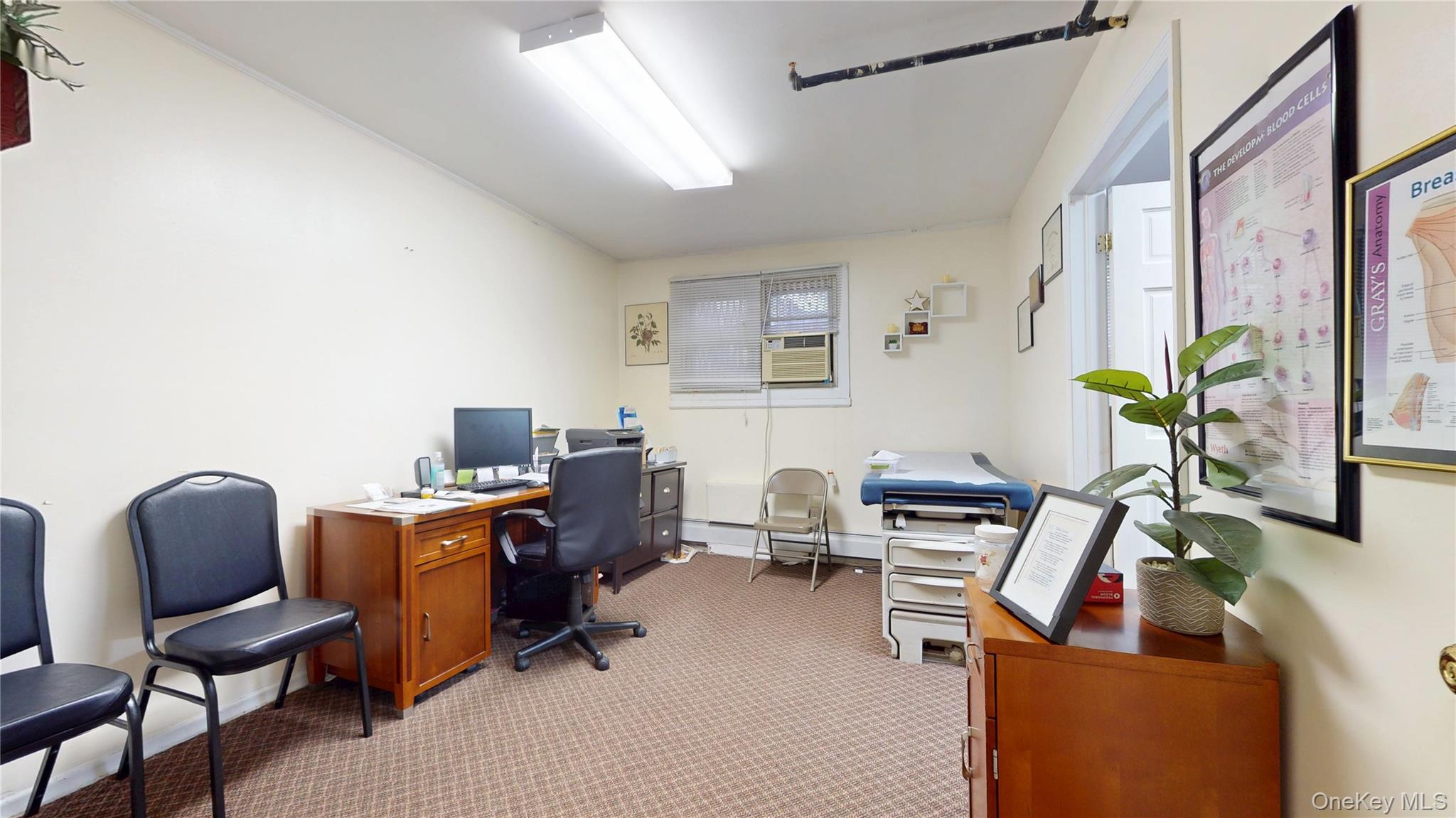 #12 photo, 566 Schenectady Avenue, ブルックリン区 Brooklyn , NY 11203