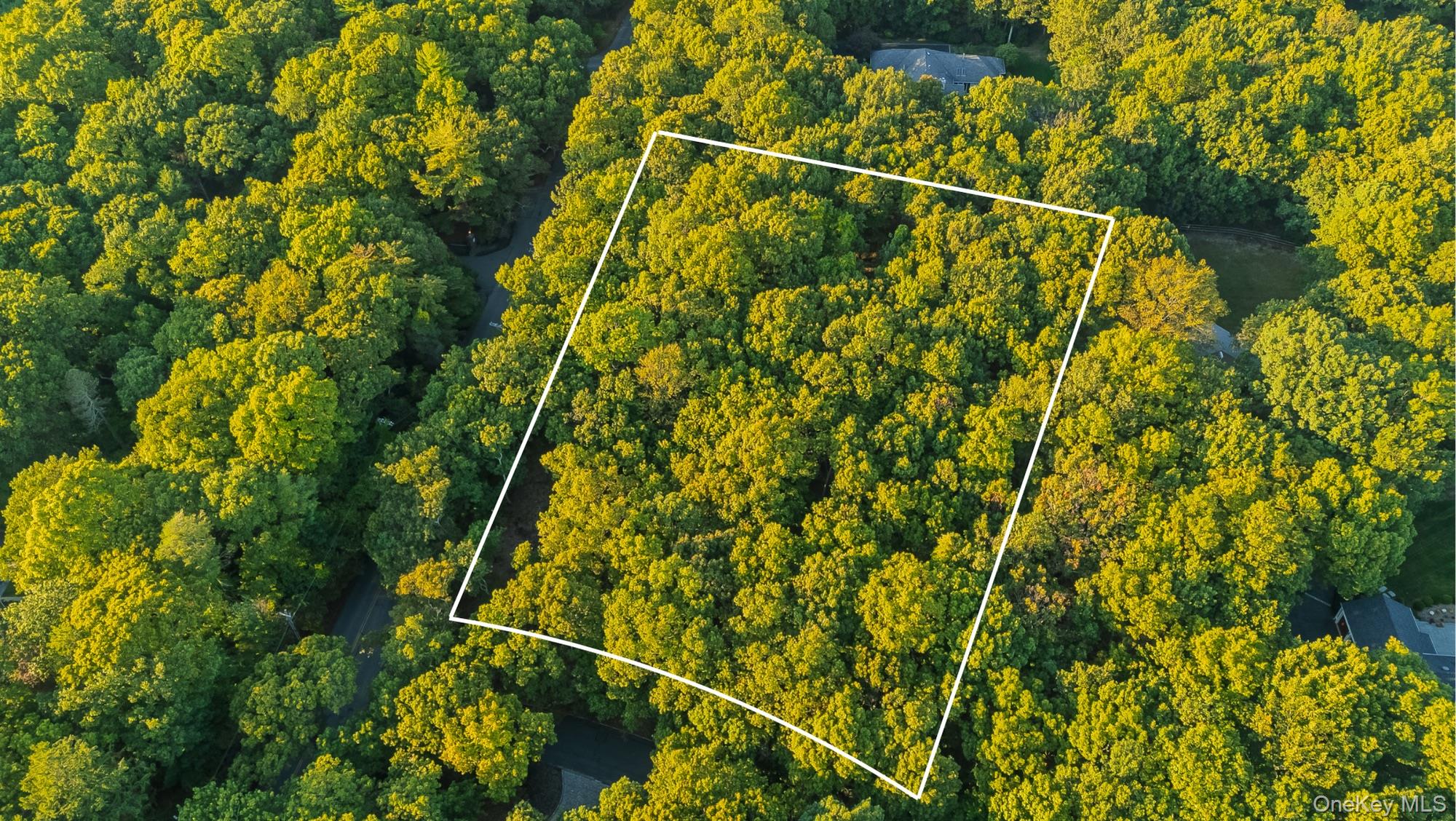 #2 photo, 2 E Gate Lane, サフォーク郡 Setauket , NY 11733