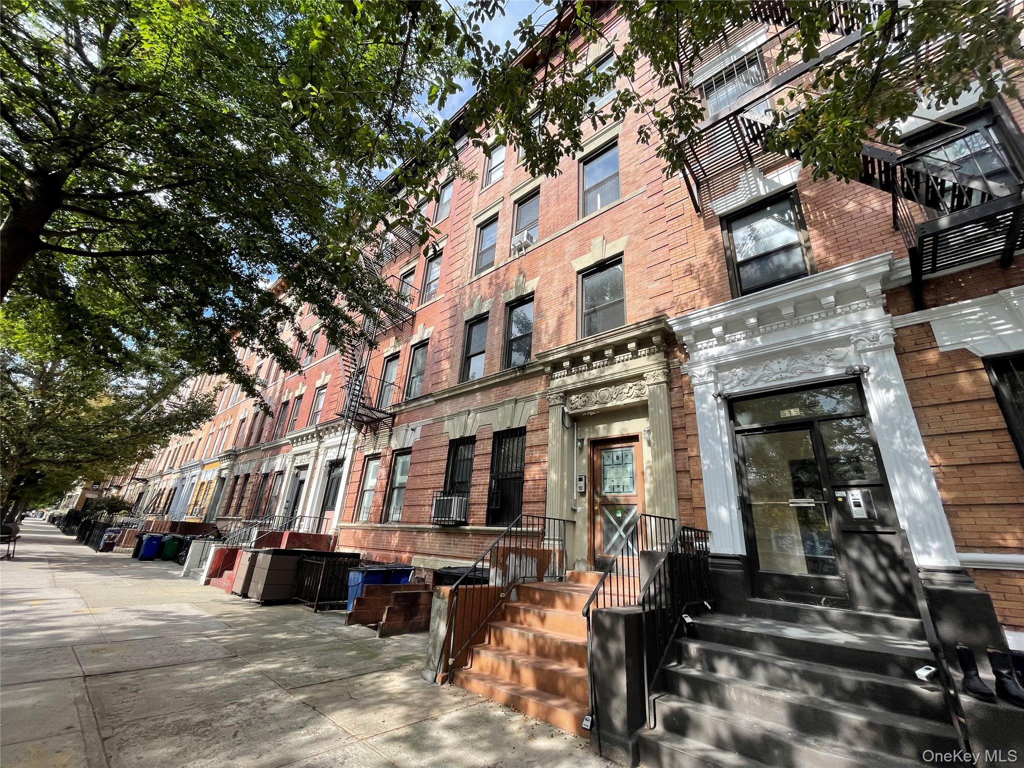 #1 photo, 513 Park Place, ブルックリン区 Brooklyn , NY 11238