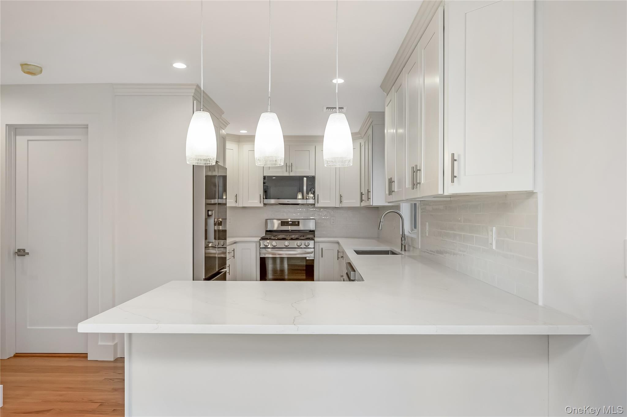 #15 photo, 985 Douglas Avenue, ナッソー郡 Wantagh , NY 11793