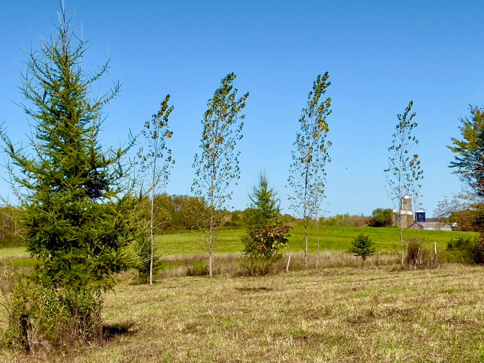 #1 photo, 2979 Leach Rd, Eaton , NY 13334