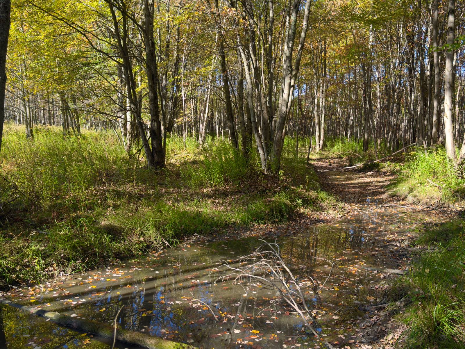 #11 photo, 2979 Leach Rd, Eaton , NY 13334