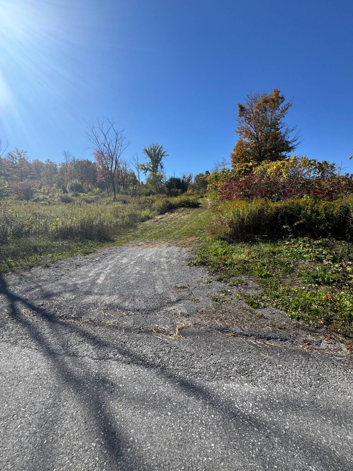 #6 photo, 2979 Leach Rd, Eaton , NY 13334