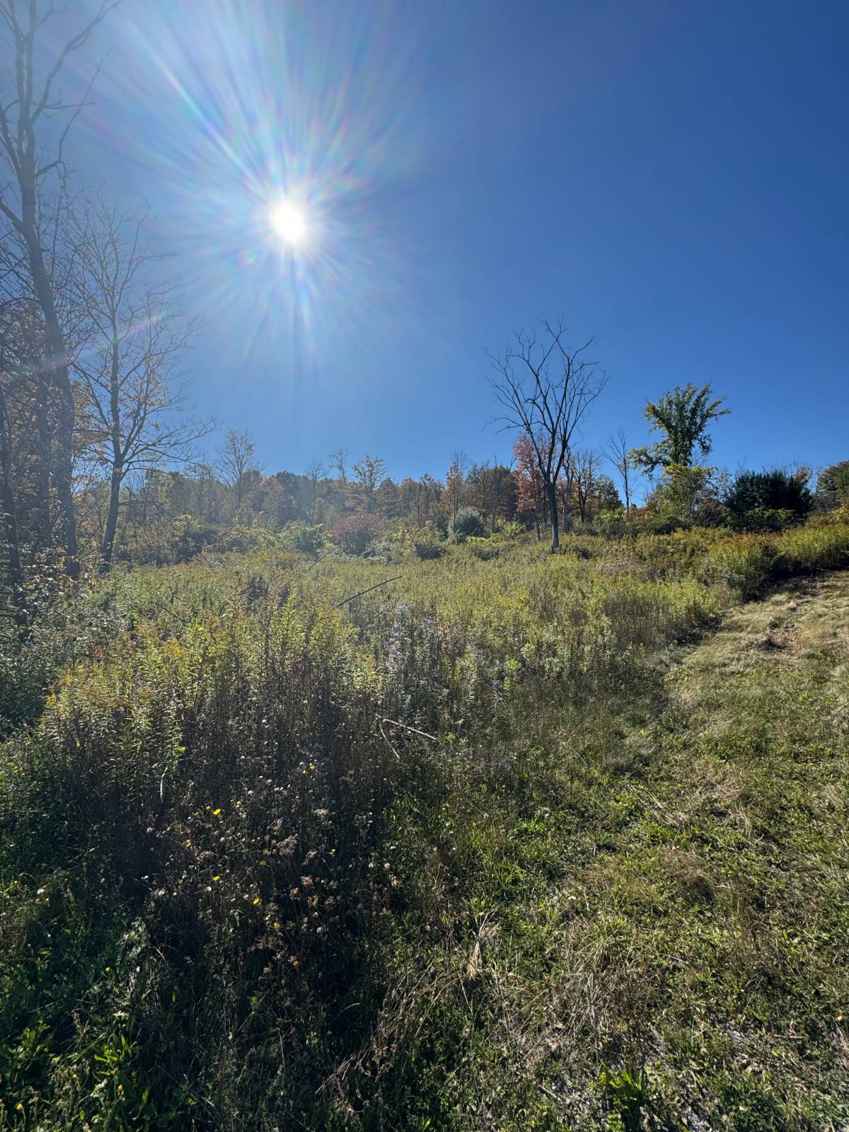 #8 photo, 2979 Leach Rd, Eaton , NY 13334