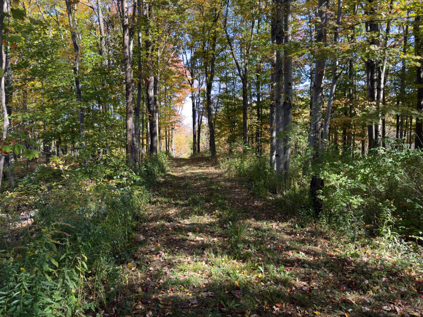 #9 photo, 2979 Leach Rd, Eaton , NY 13334