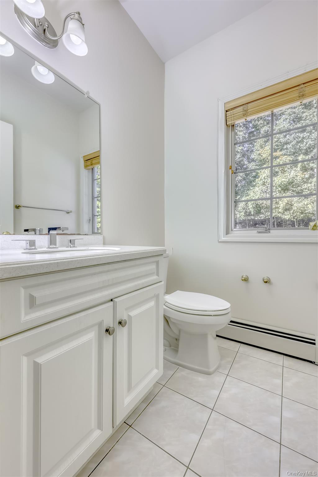 #19 photo, 30 Senator Levy Drive, Montebello , NY 10901