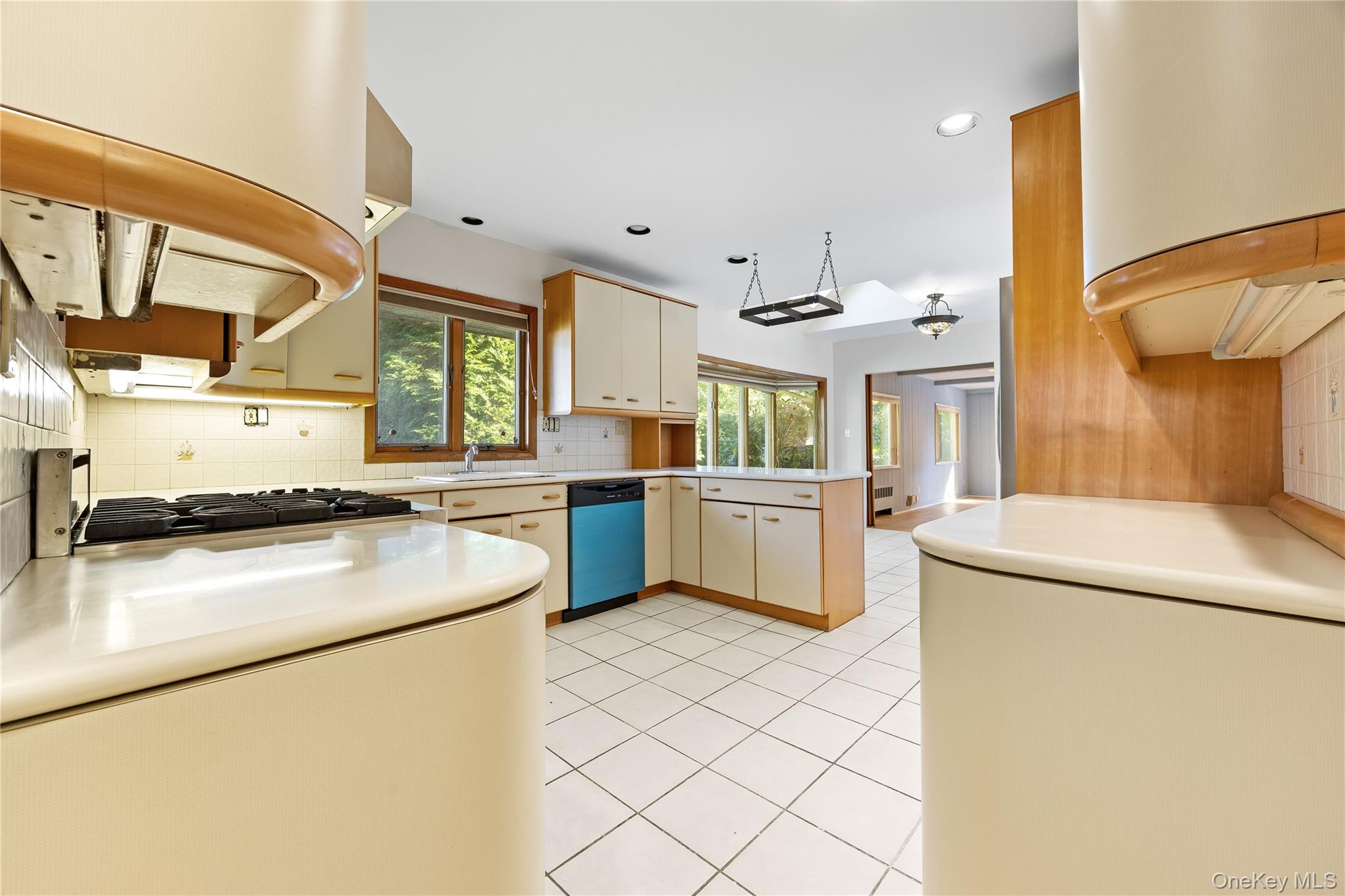 #16 photo, 2 Dale Carnegie Court, ナッソー郡 Great Neck , NY 11020