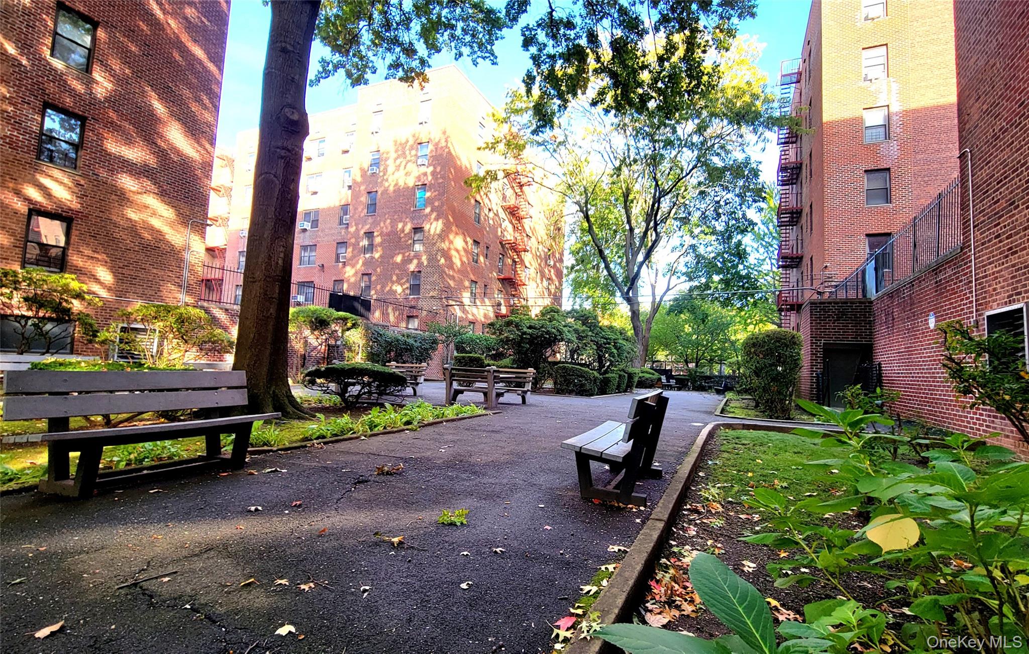 #11 photo, 32-23 88 Street, クイーンズ区 East Elmhurst , NY 11369