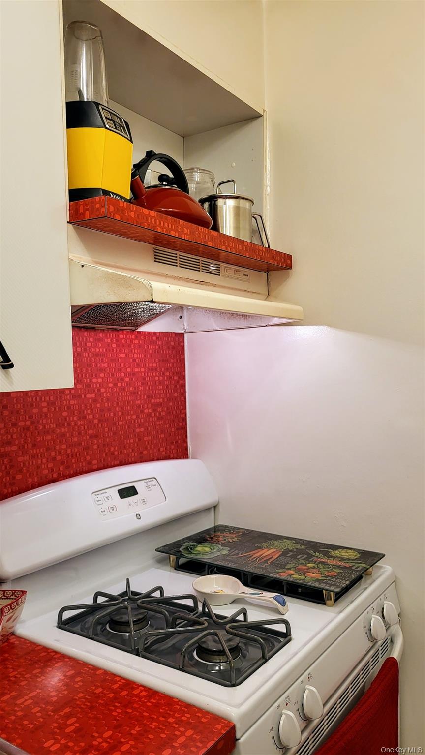 #8 photo, 61 Oliver Street, ブルックリン区 Brooklyn , NY 11209