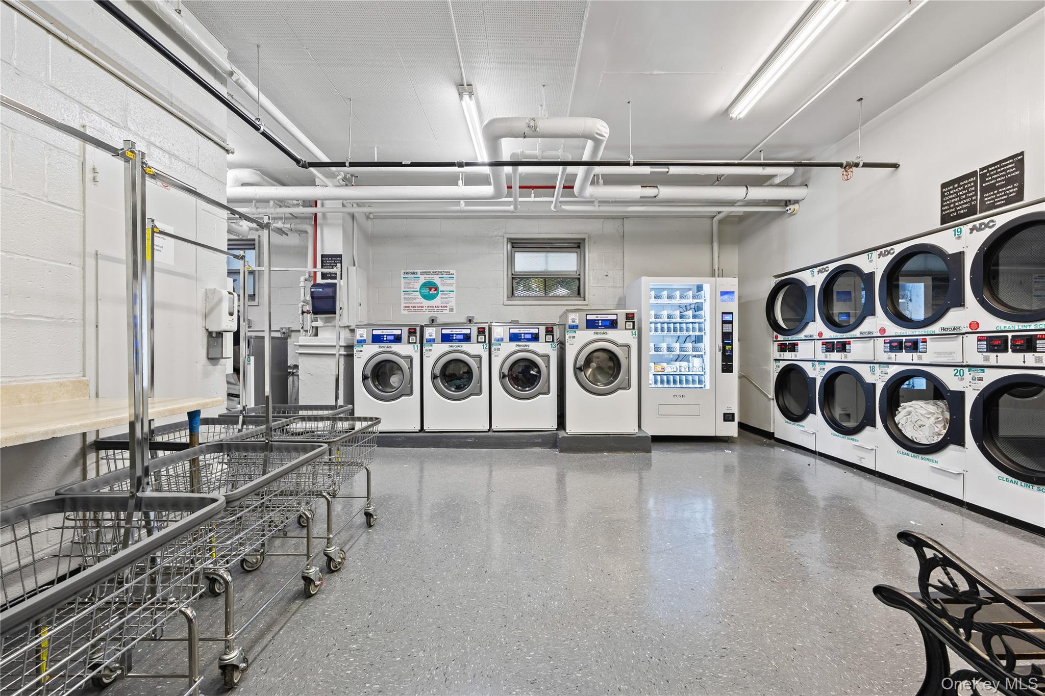 #17 photo, 3410 de reimer Avenue, ブロンクス区 Bronx , NY 10475