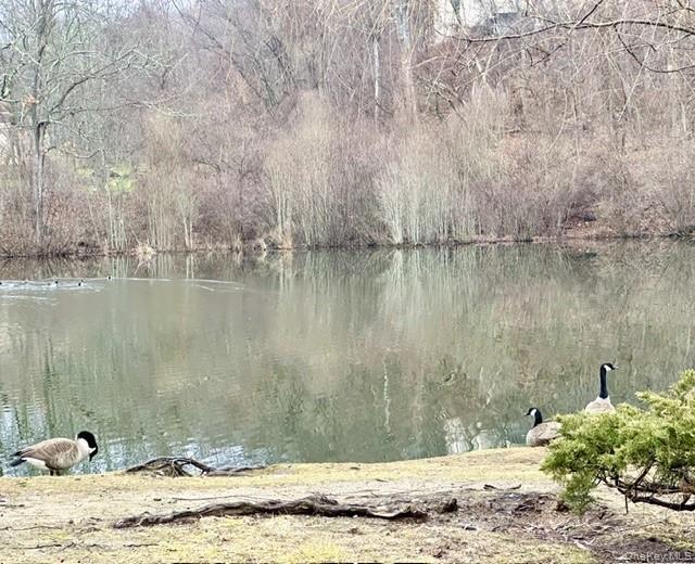 #18 photo, 224 Fox Run Lane, Carmel , NY 10512