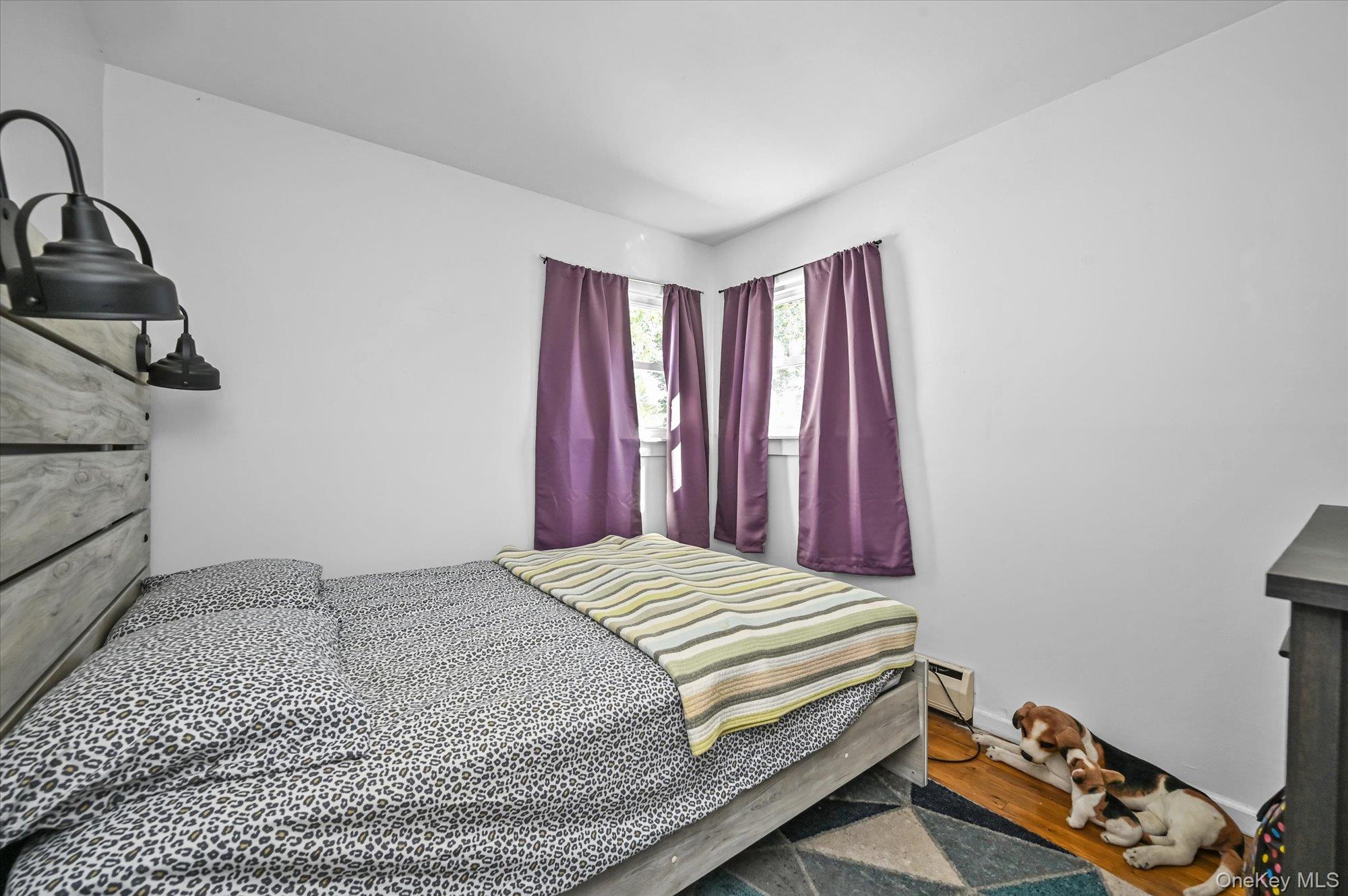 #8 photo, 16 E Chestnut Street, サフォーク郡 Central Islip , NY 11722