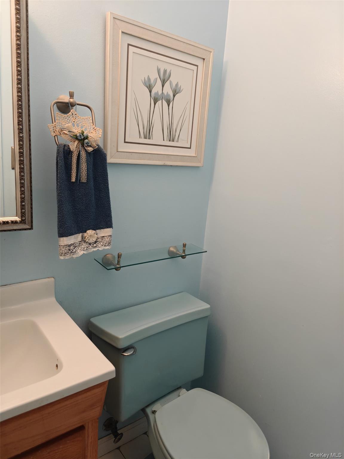 #17 photo, 160 Atlantic Place, サフォーク郡 Hauppauge , NY 11788