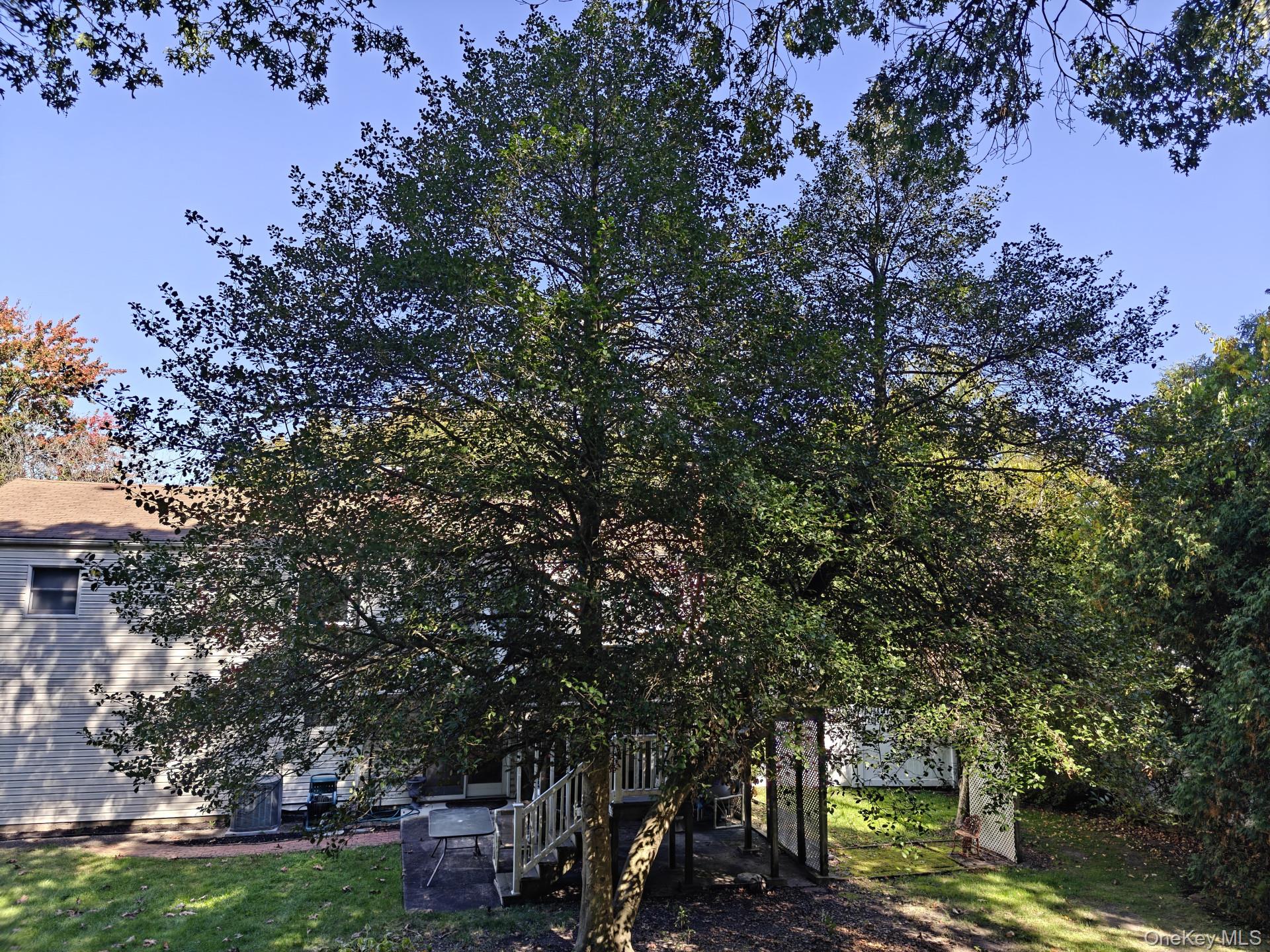 #4 photo, 160 Atlantic Place, サフォーク郡 Hauppauge , NY 11788