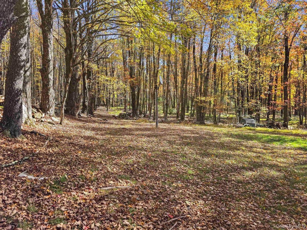 #8 photo, 241 Royce Road, Bethel , NY 12720