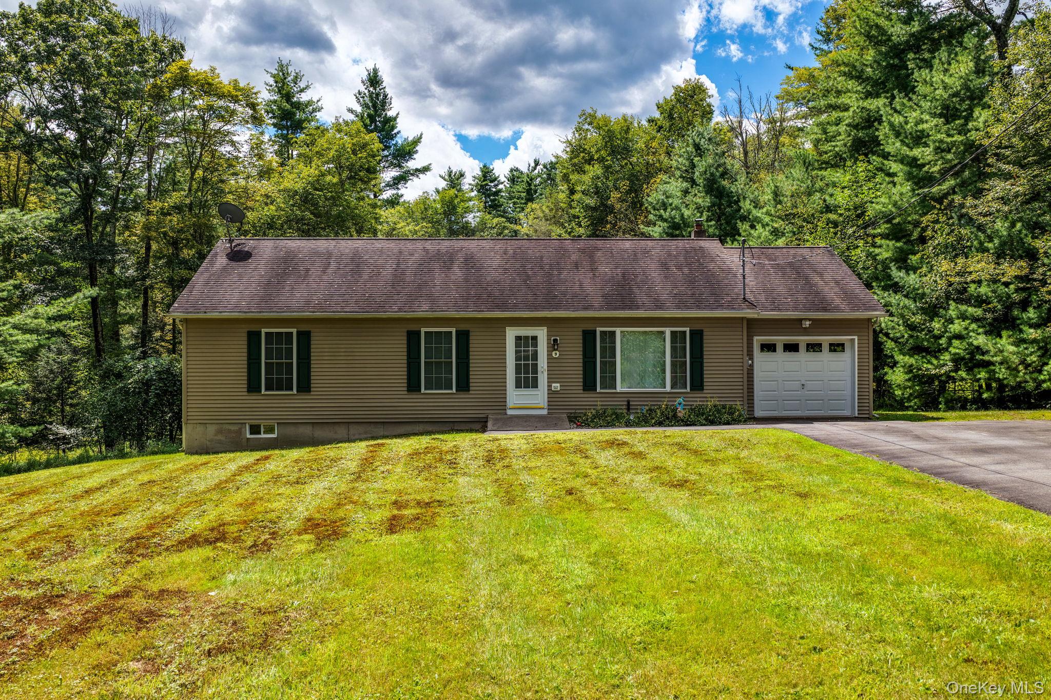 #1 photo, 9 W Peenpack Trail, Sparrowbush , NY 12780