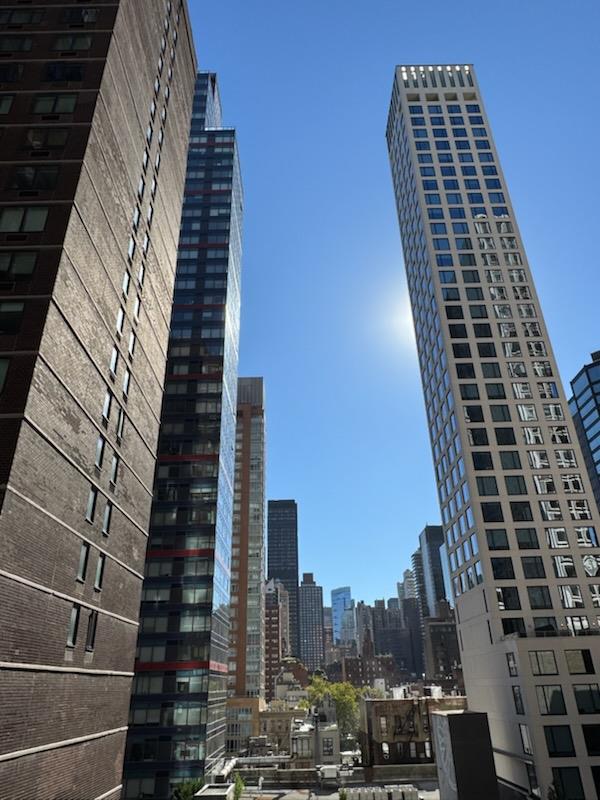 #8 photo, New York City, マンハッタン Turtle Bay , NY 10022