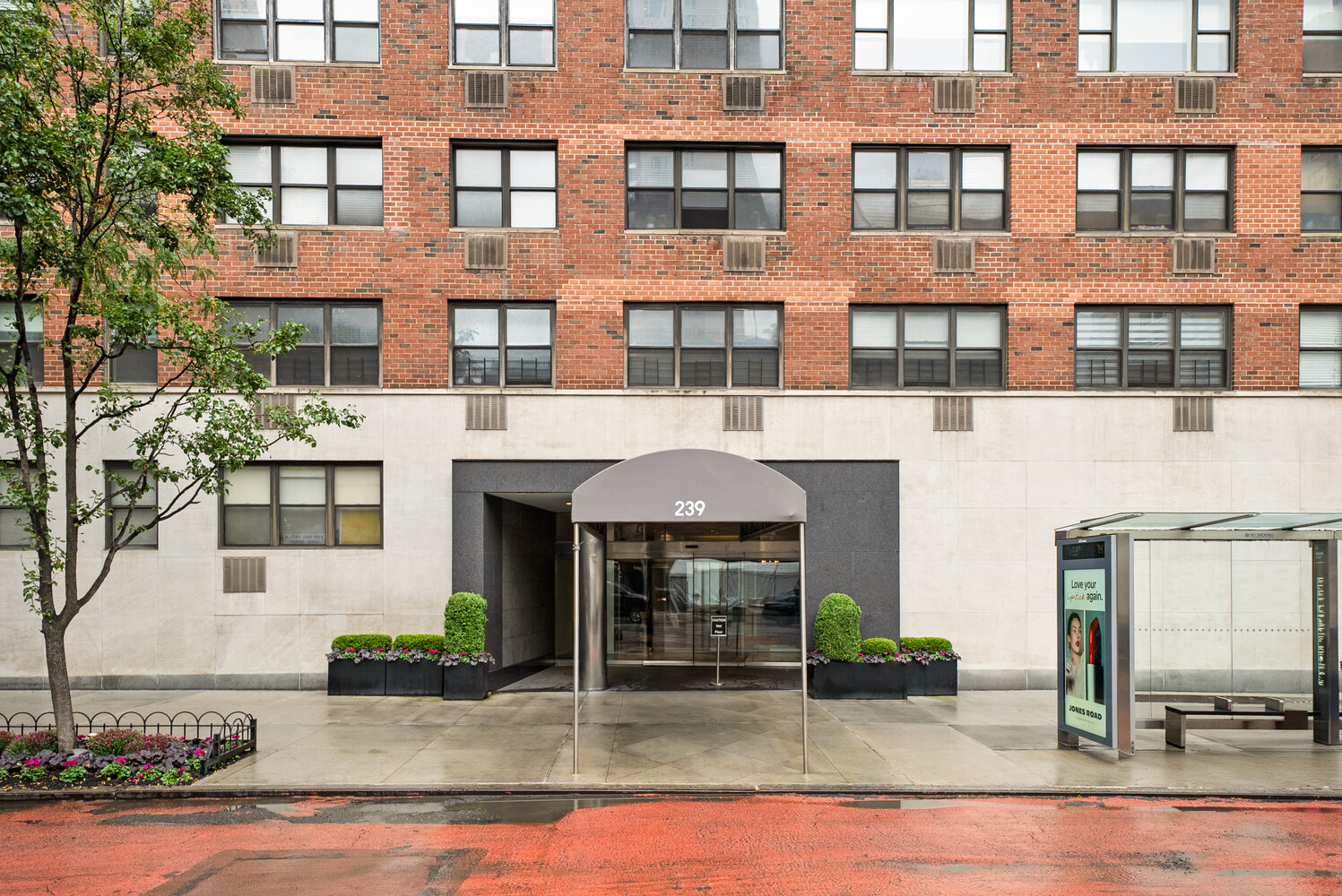 #10 photo, 239 E 79TH Street, マンハッタン Yorkville , NY 10075