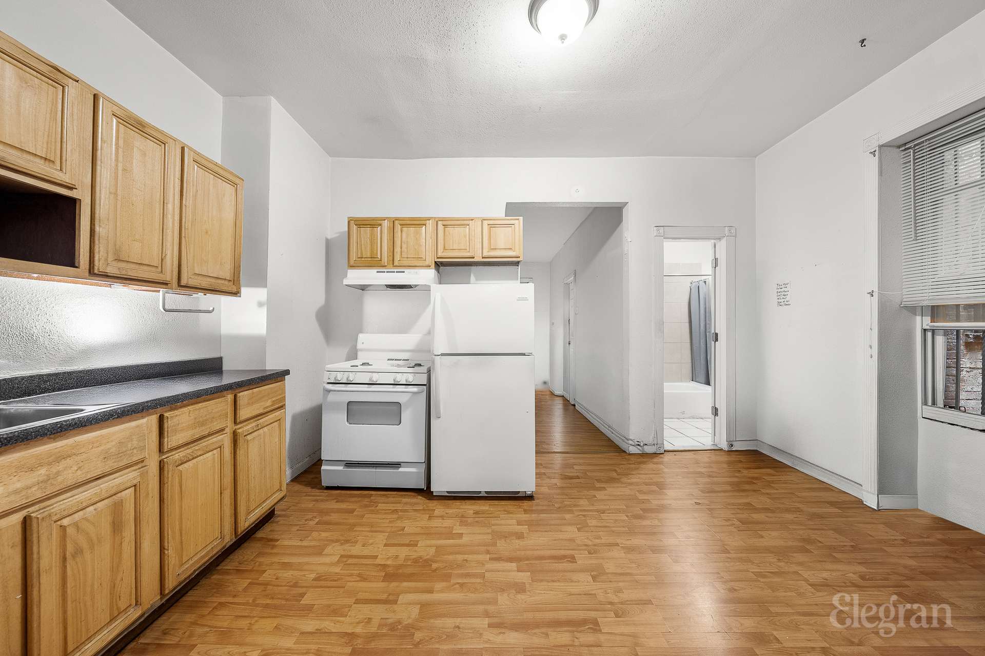 #13 photo, 159 Wyona Street, ブルックリン区 East New York , NY 11207