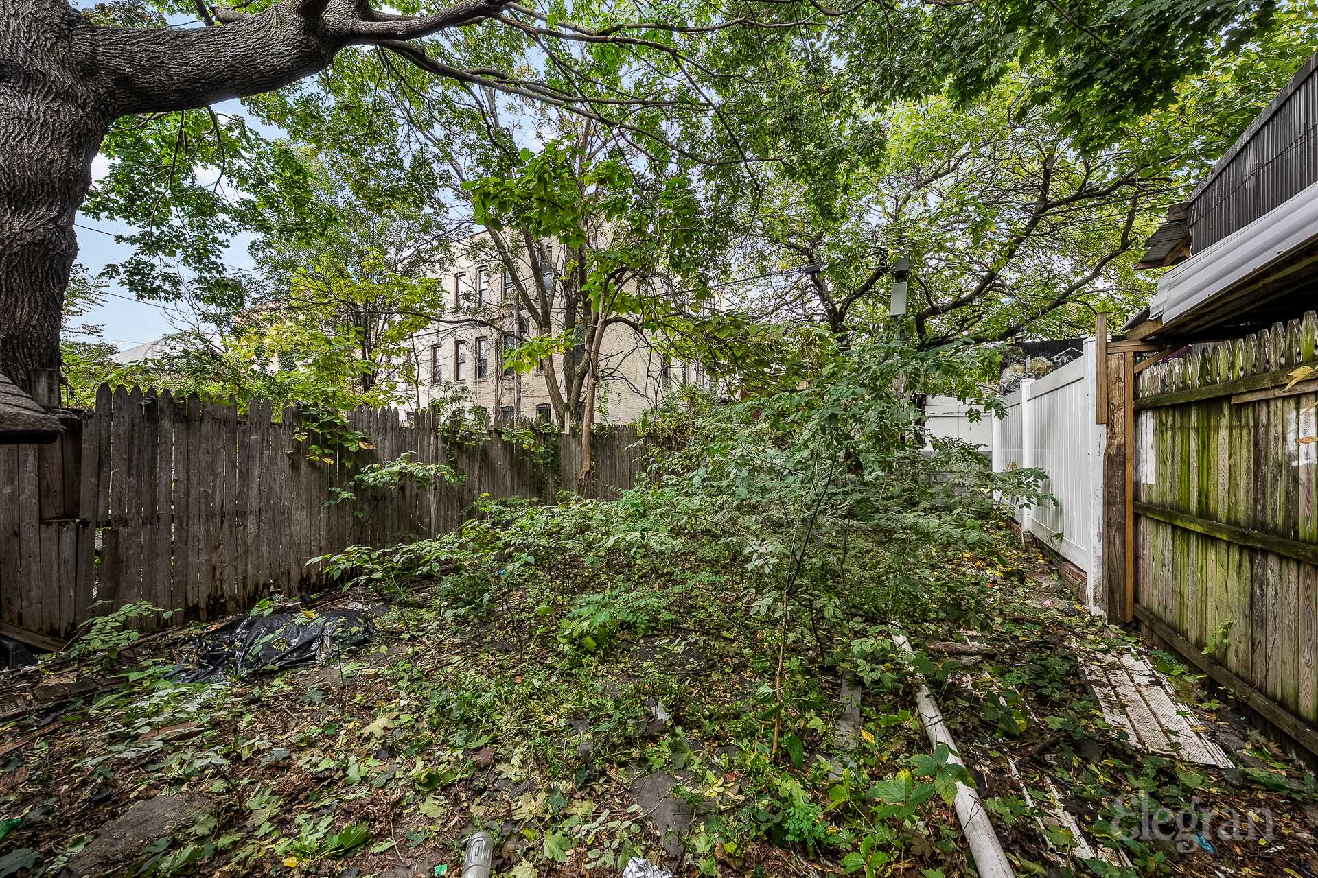 #16 photo, 159 Wyona Street, ブルックリン区 East New York , NY 11207