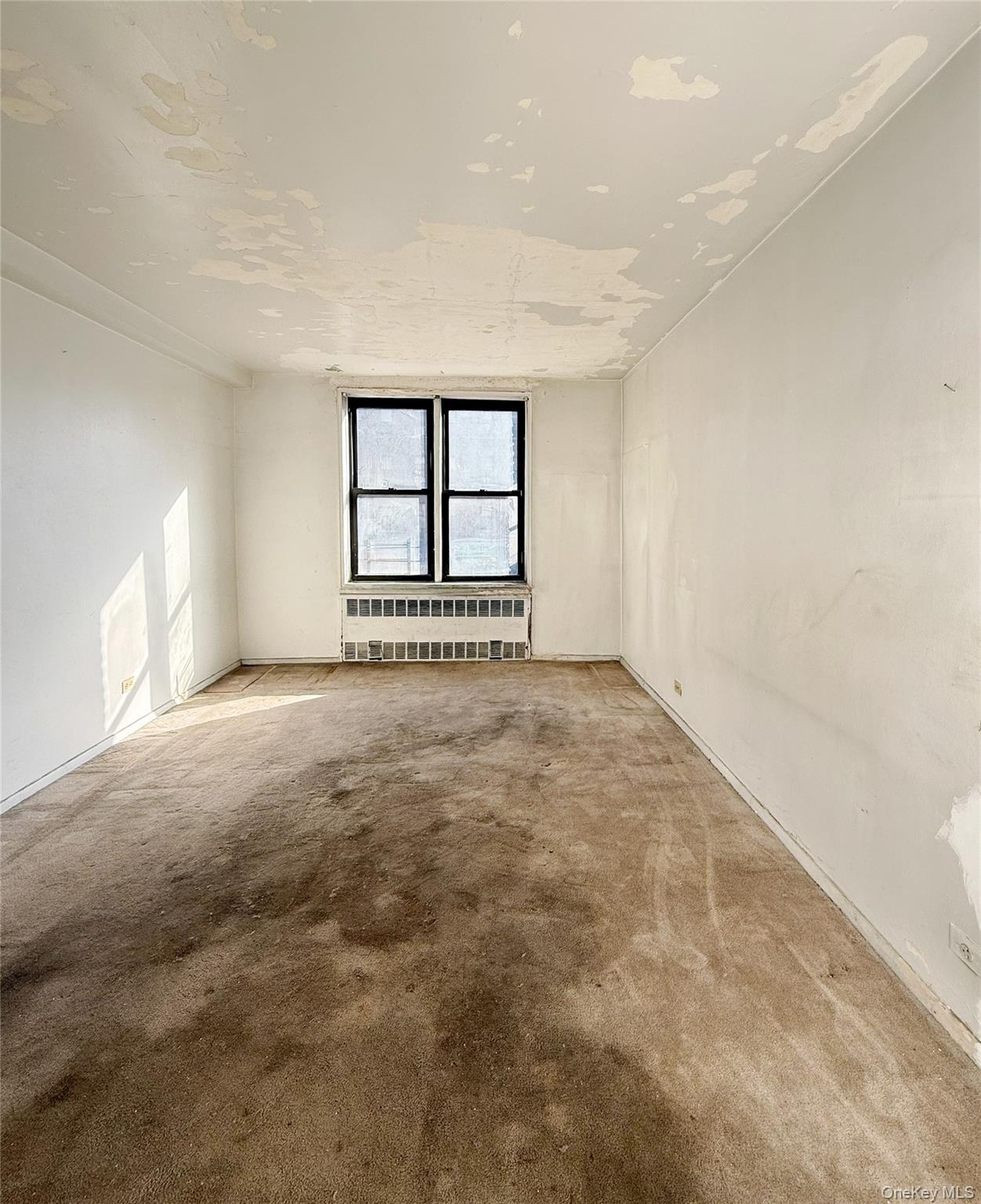 #10 photo, 14105 Northern Blvd, クイーンズ区 Flushing , NY 11354