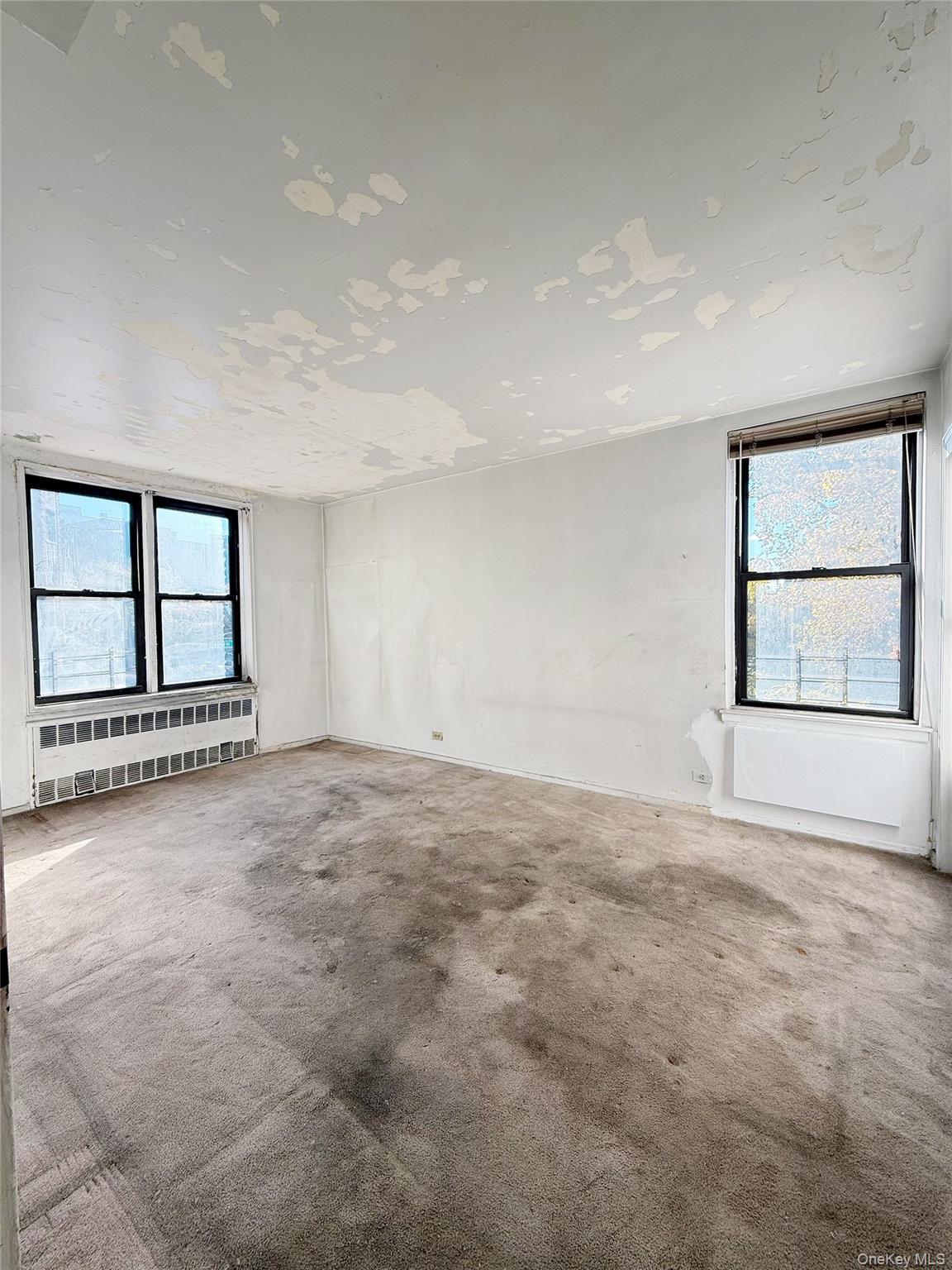 #11 photo, 14105 Northern Blvd, クイーンズ区 Flushing , NY 11354