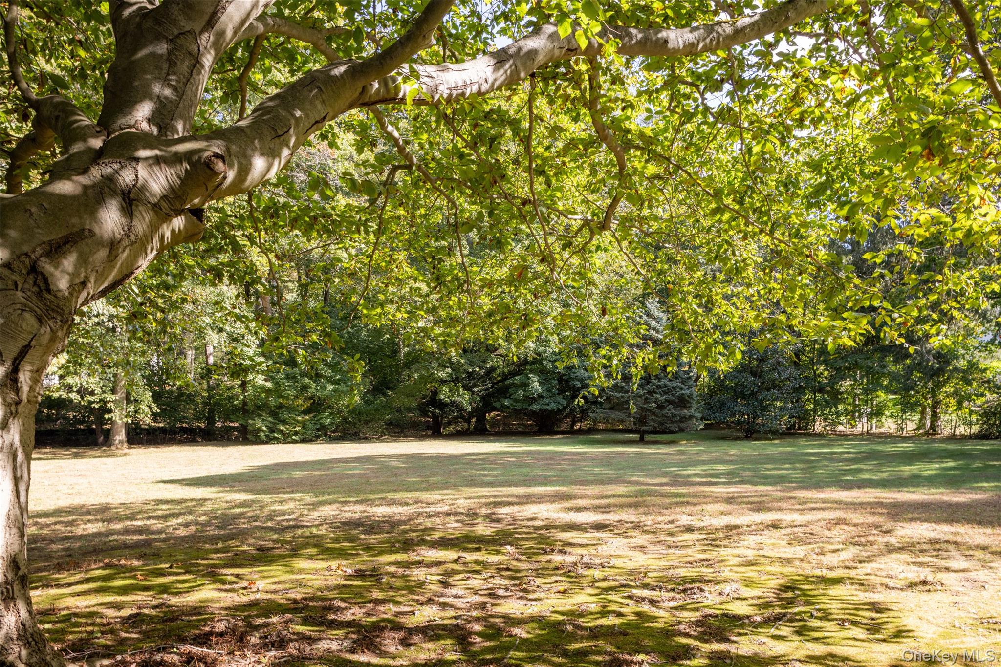 #17 photo, 137 Linden Farms Road, ナッソー郡 Locust Valley , NY 11560