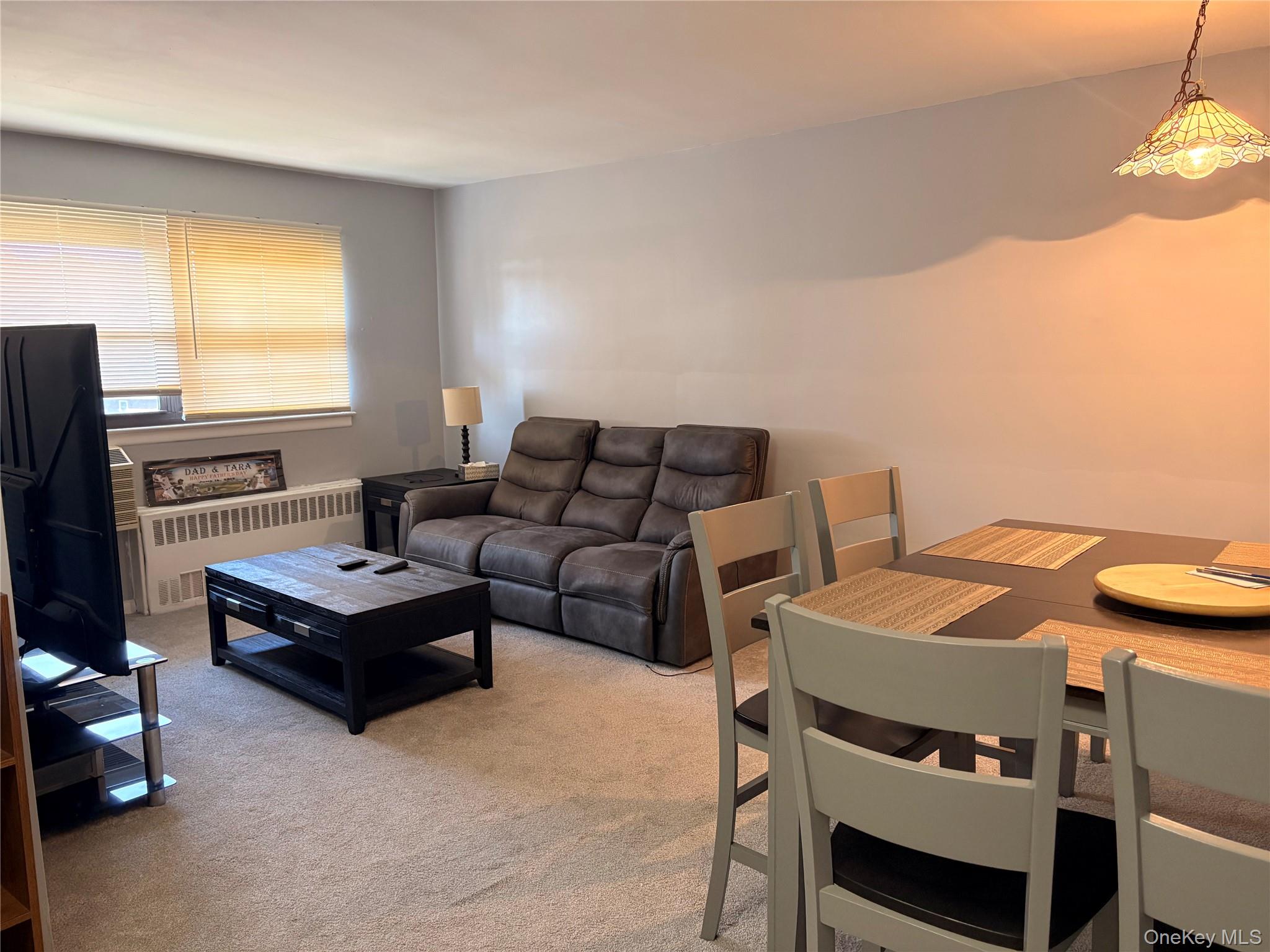 #3 photo, 25 Elizabeth Street, ナッソー郡 Farmingdale , NY 11735