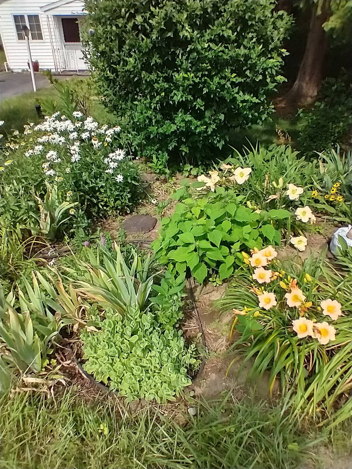 #1 photo, 117 Oak Dr., N. Syracuse , NY 13212