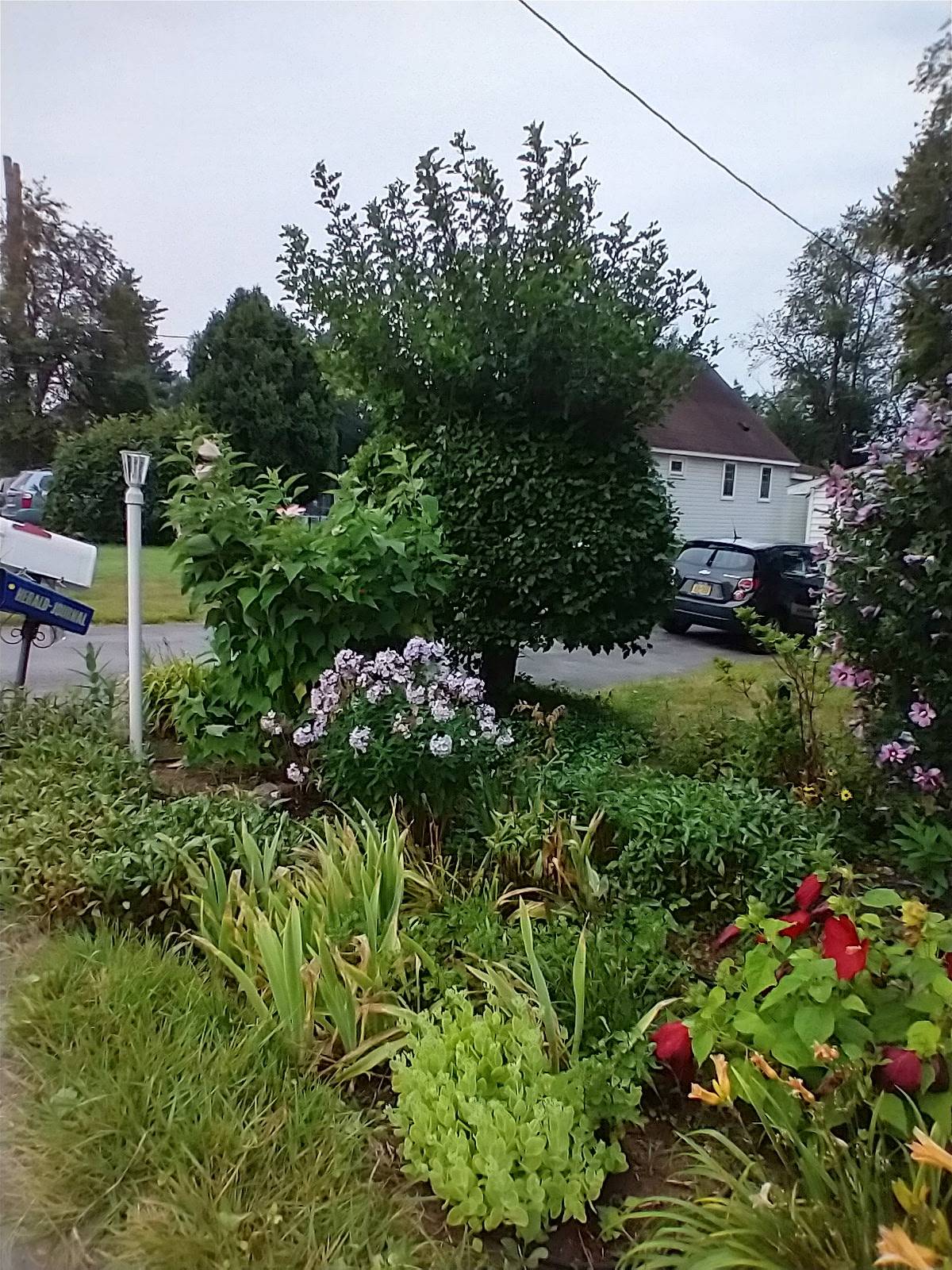 #2 photo, 117 Oak Dr., N. Syracuse , NY 13212