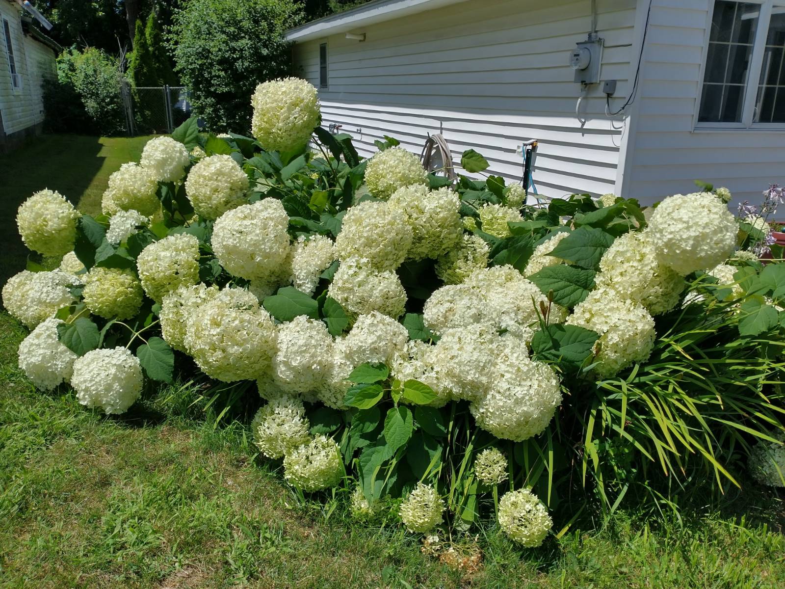 #7 photo, 117 Oak Dr., N. Syracuse , NY 13212