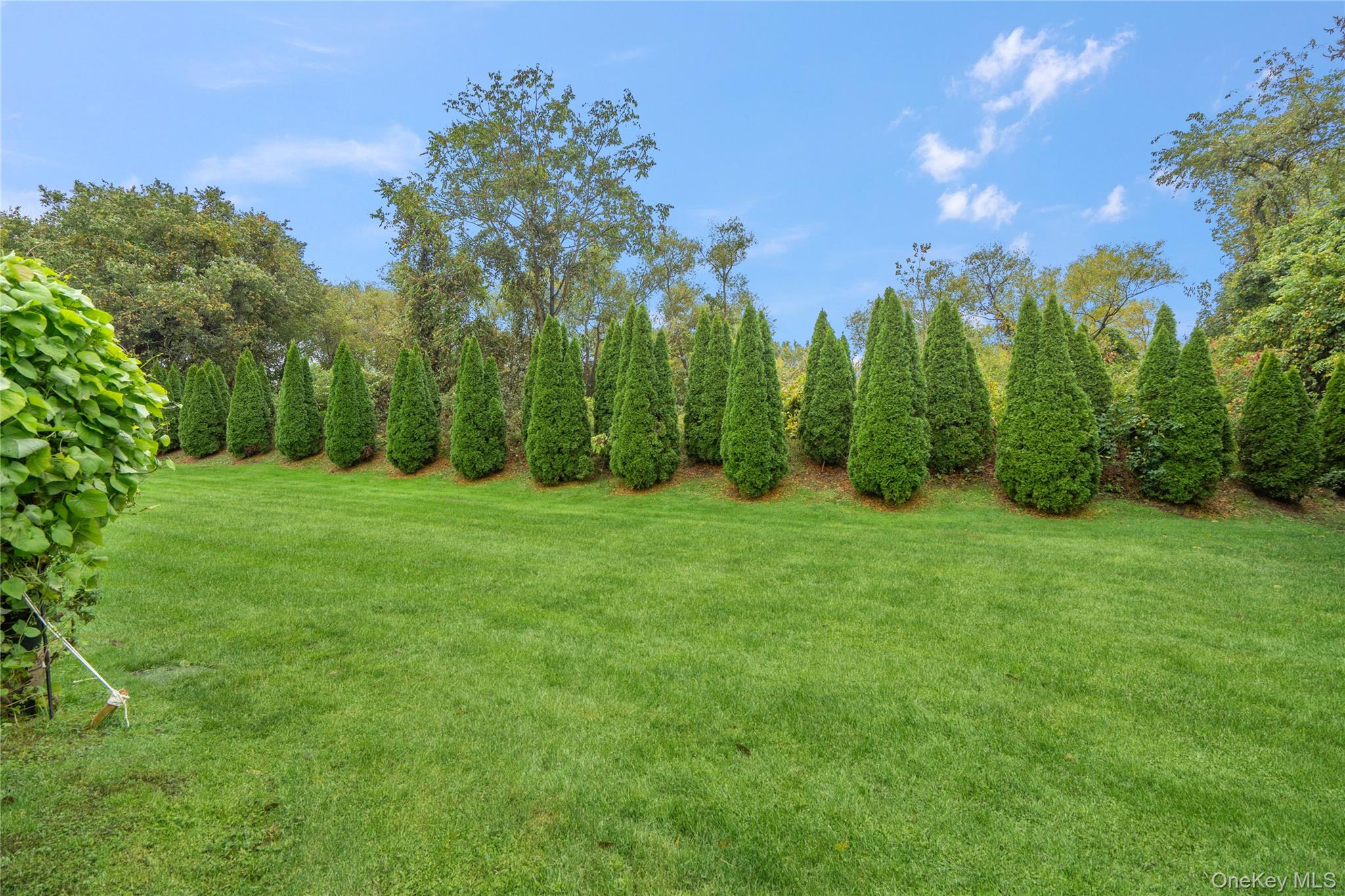 #18 photo, 53 Freedom Lane, サフォーク郡 Coram , NY 11727