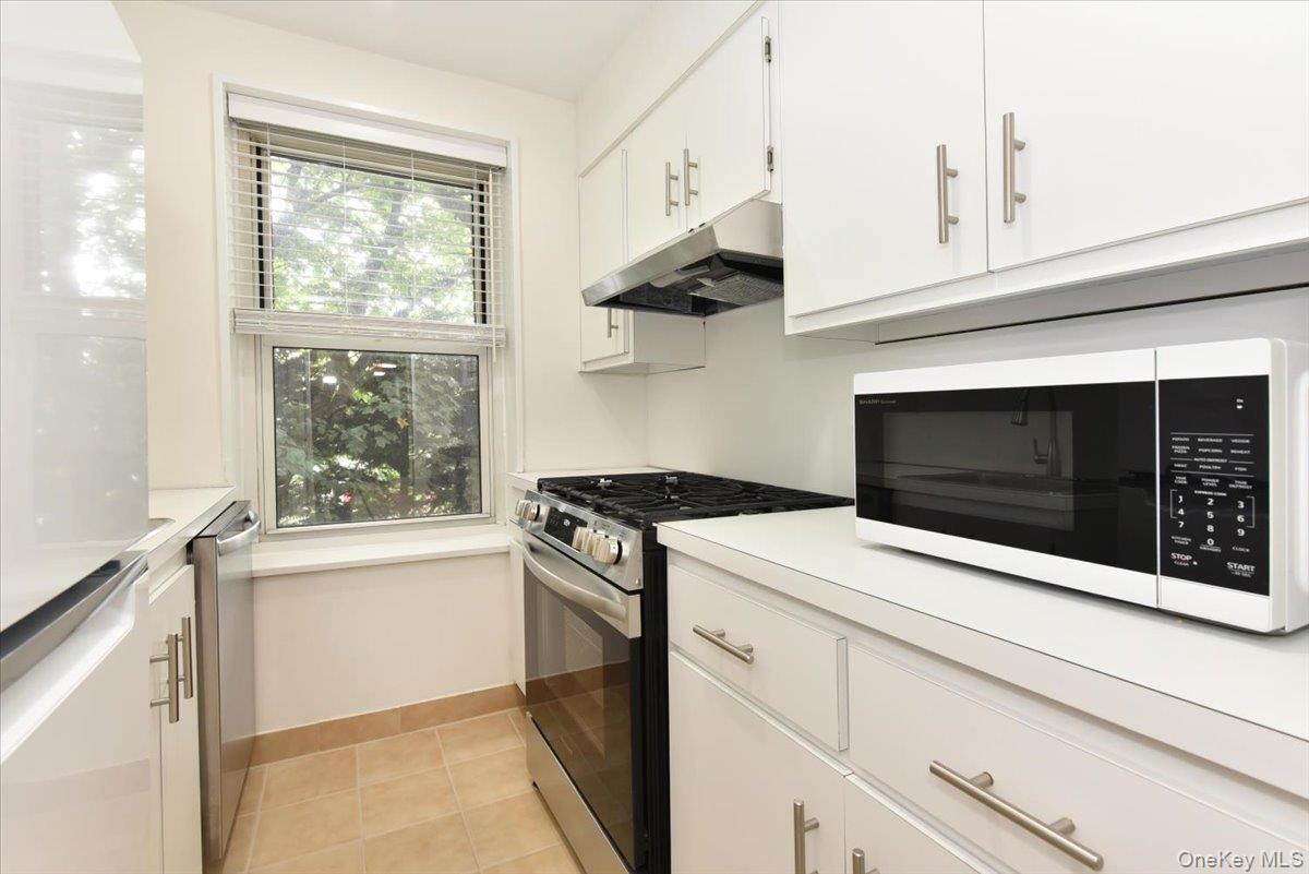 #11 photo, 195 S Middle Neck Road, ナッソー郡 Great Neck , NY 11021