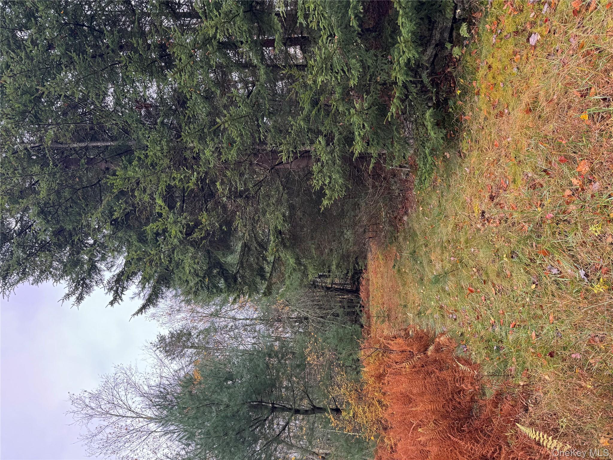 #1 photo, 296 Southwoods Drive, Monticello , NY 12701