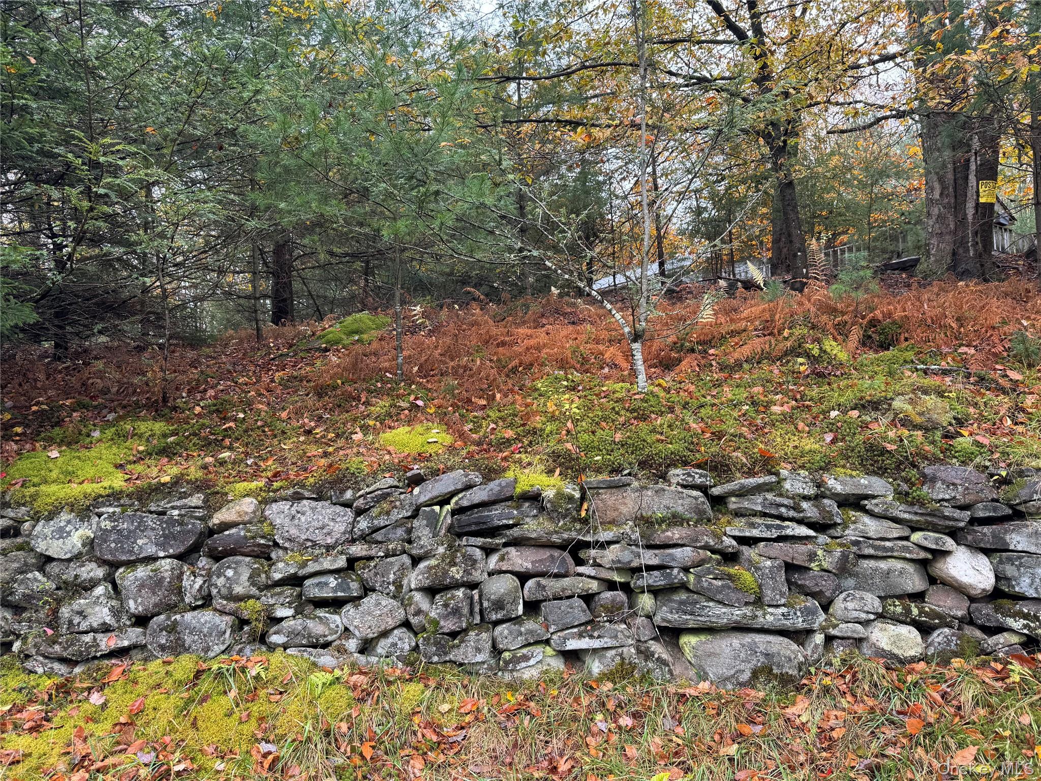 #2 photo, 296 Southwoods Drive, Monticello , NY 12701