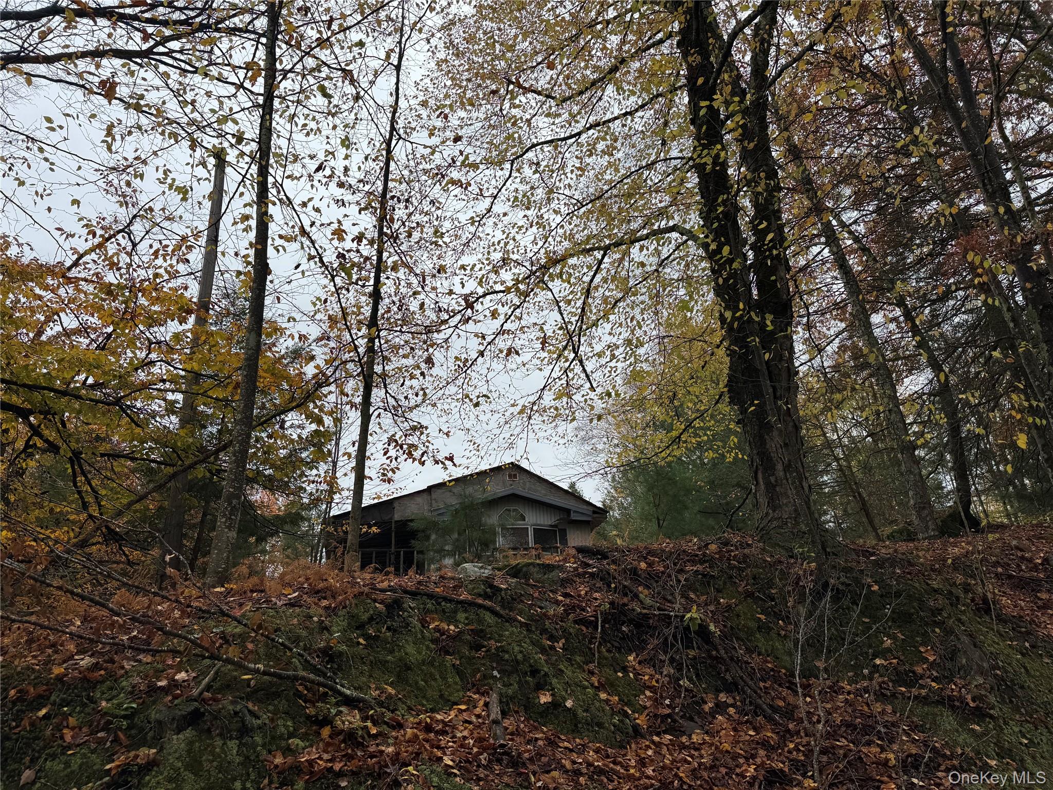 #3 photo, 296 Southwoods Drive, Monticello , NY 12701