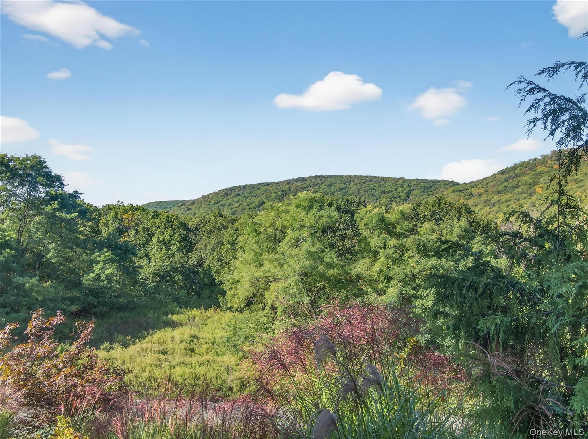 #13 photo, 80 Halley Drive, Pomona , NY 10970