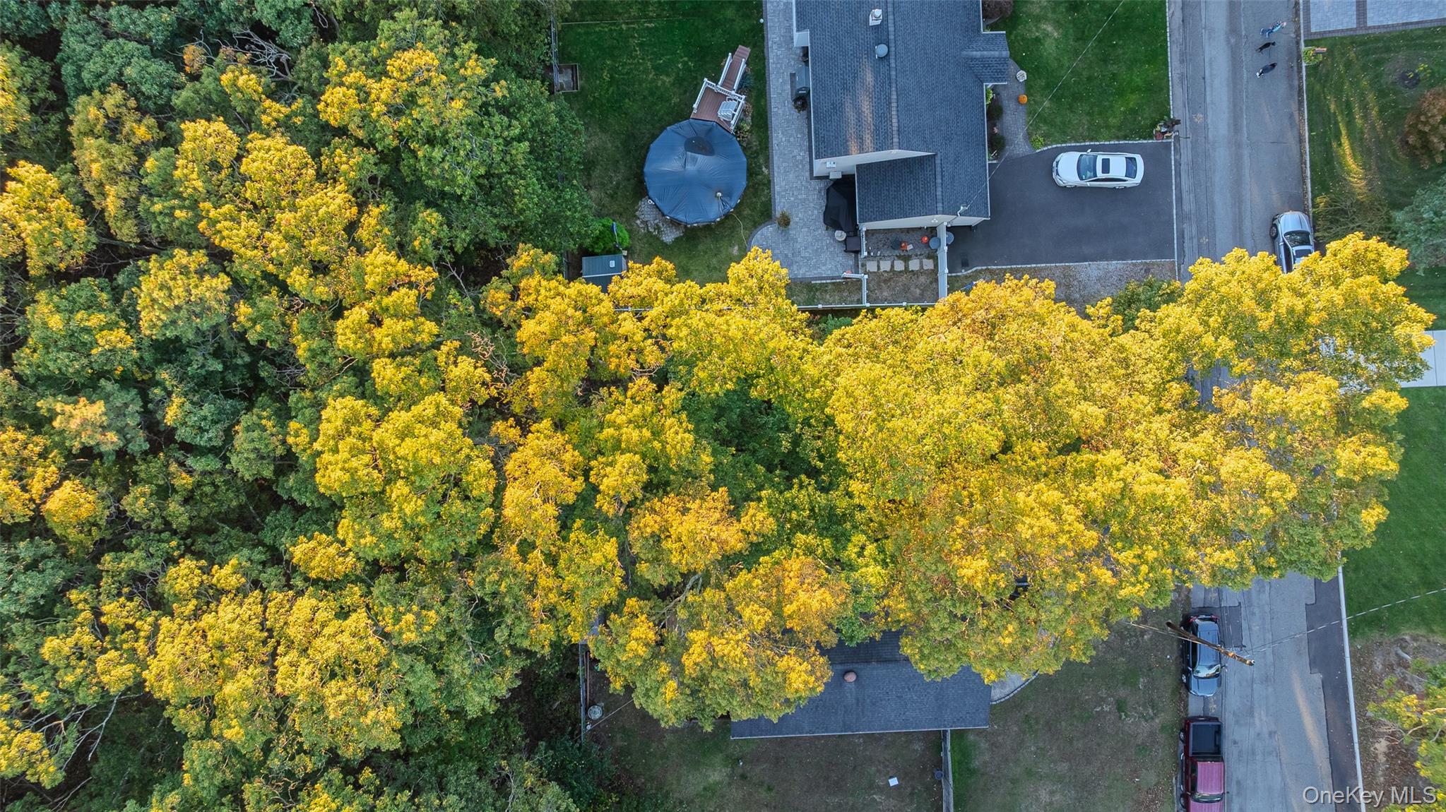 #6 photo, Arlington St, サフォーク郡 Patchogue , NY 11772