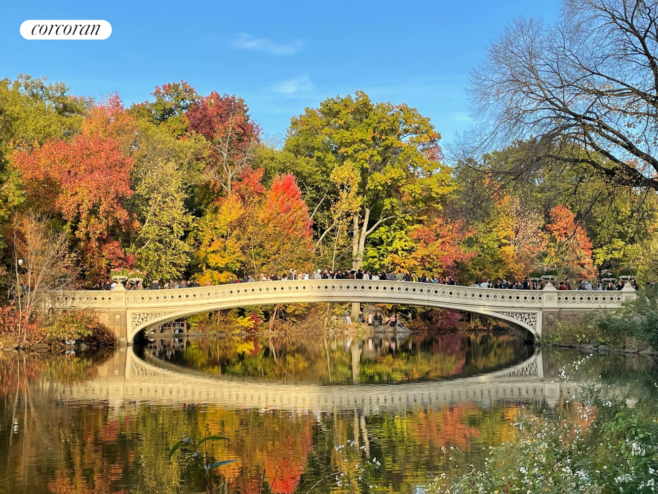 #17 photo, New York City, South Harlem , NY 10029