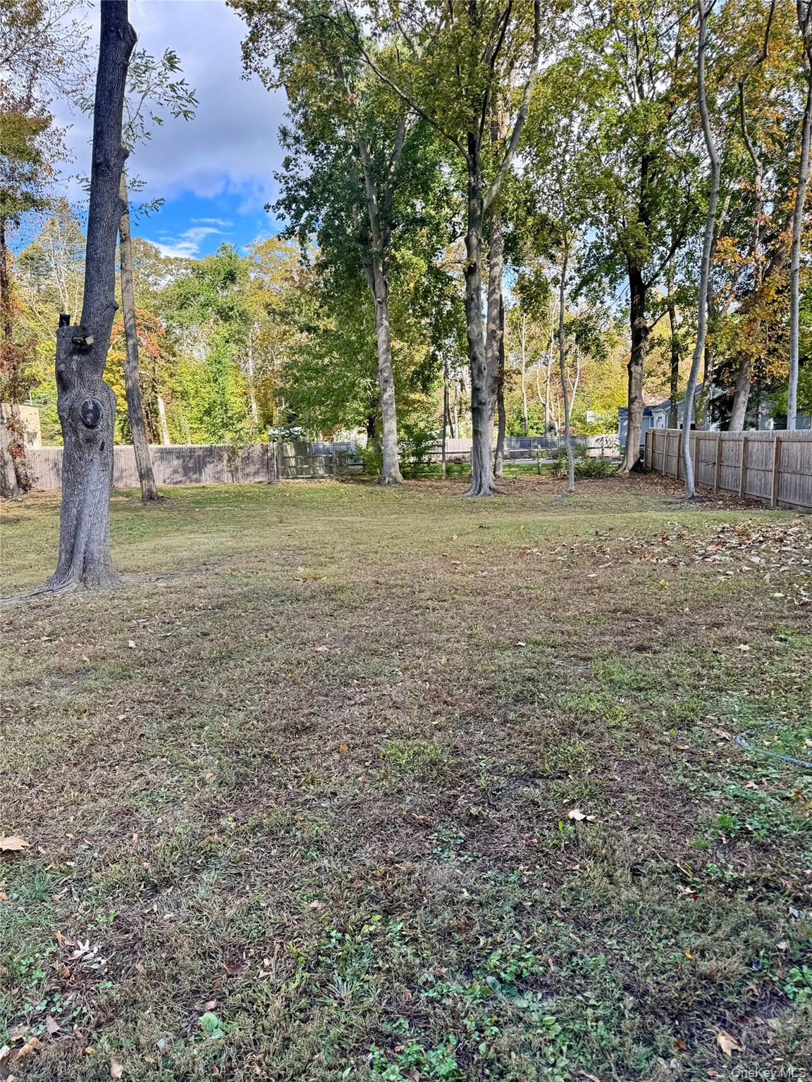 #19 photo, 124 Mount Sinai Coram Road, サフォーク郡 Coram , NY 11727