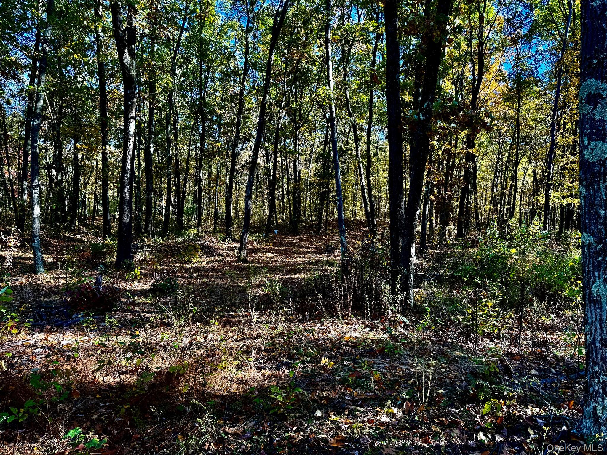 #10 photo, 36 Fallkill Road, Hyde Park , NY 12538