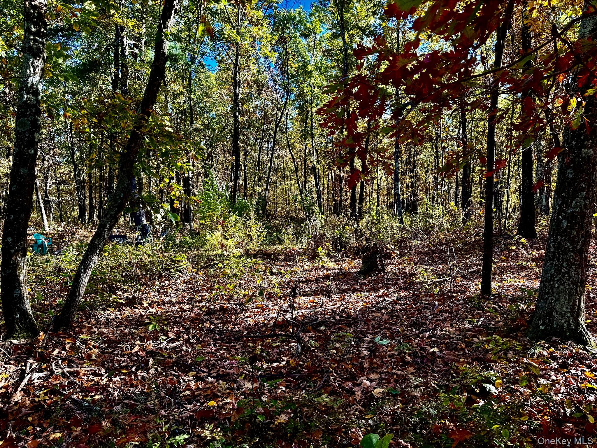 #11 photo, 36 Fallkill Road, Hyde Park , NY 12538